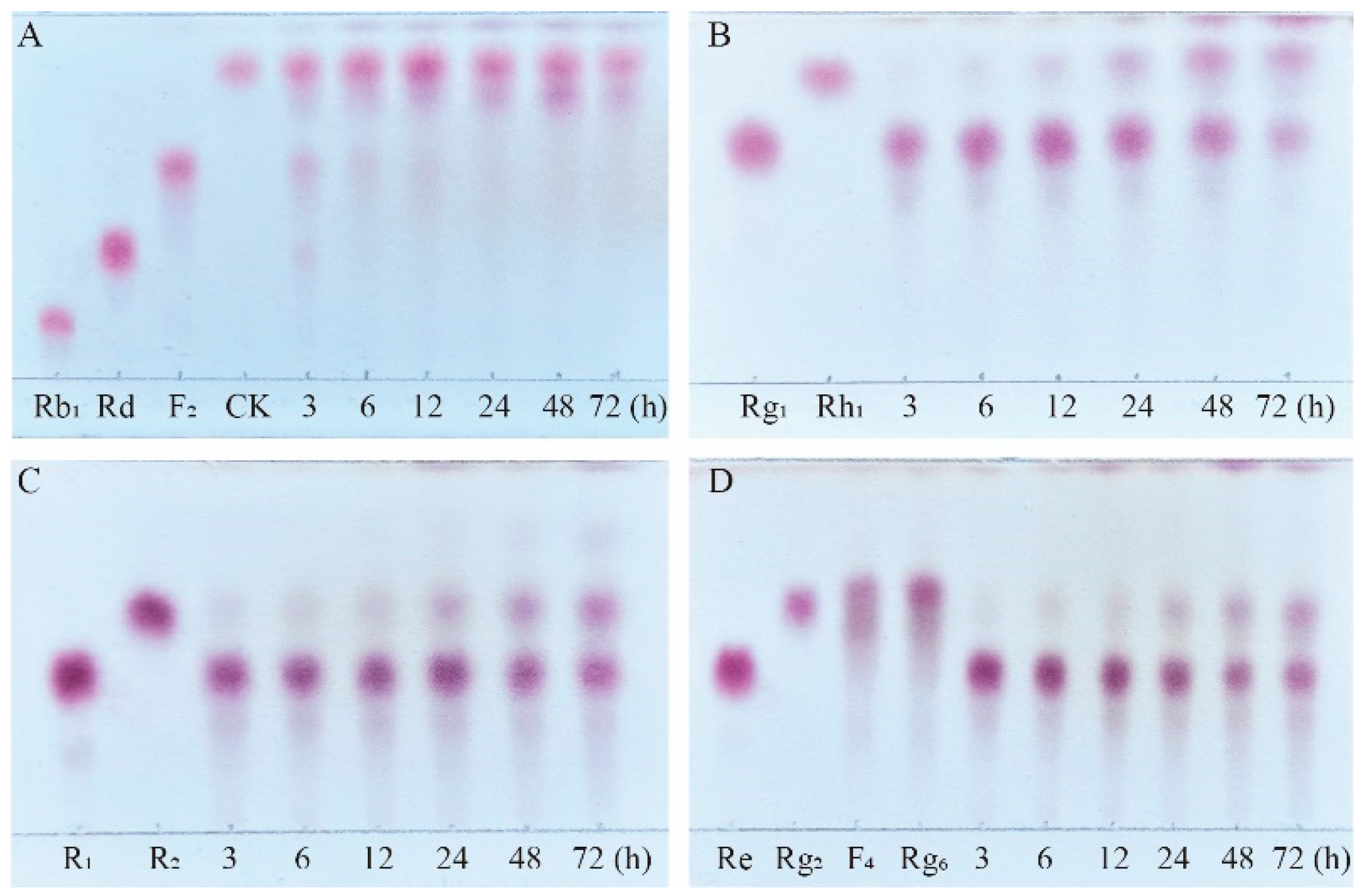 Preprints 147434 g009