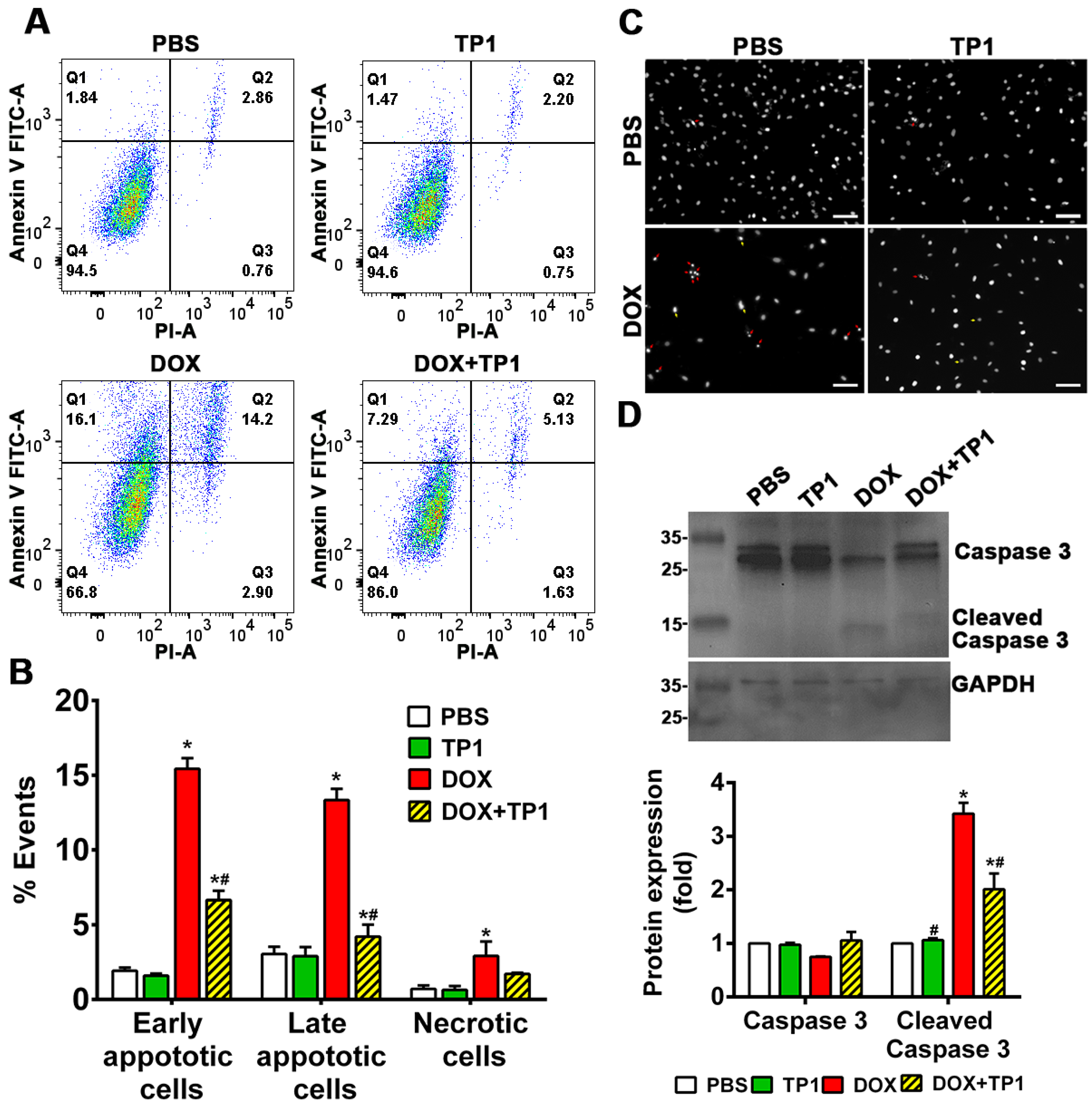 Preprints 153208 g003