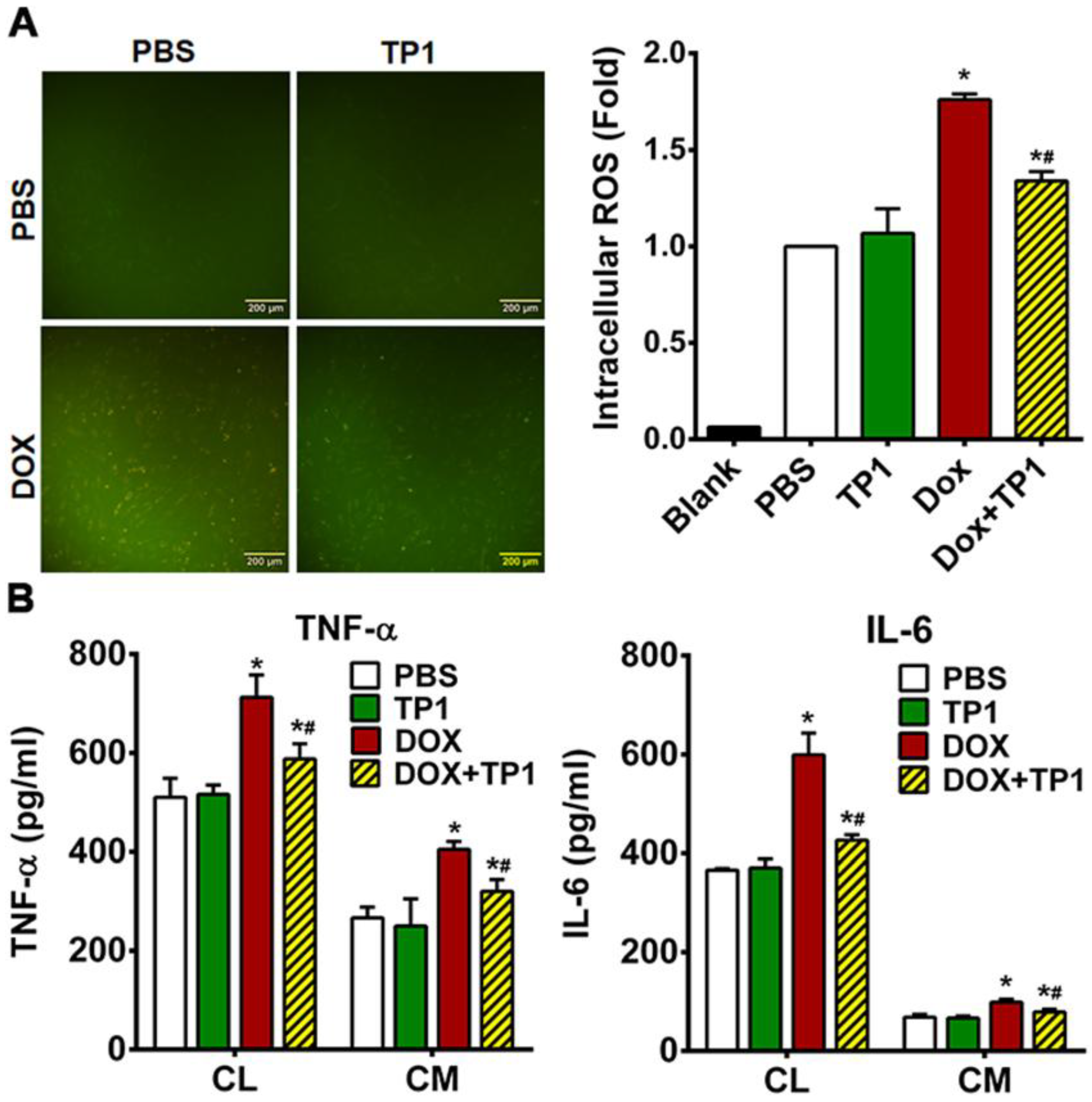 Preprints 153208 g005