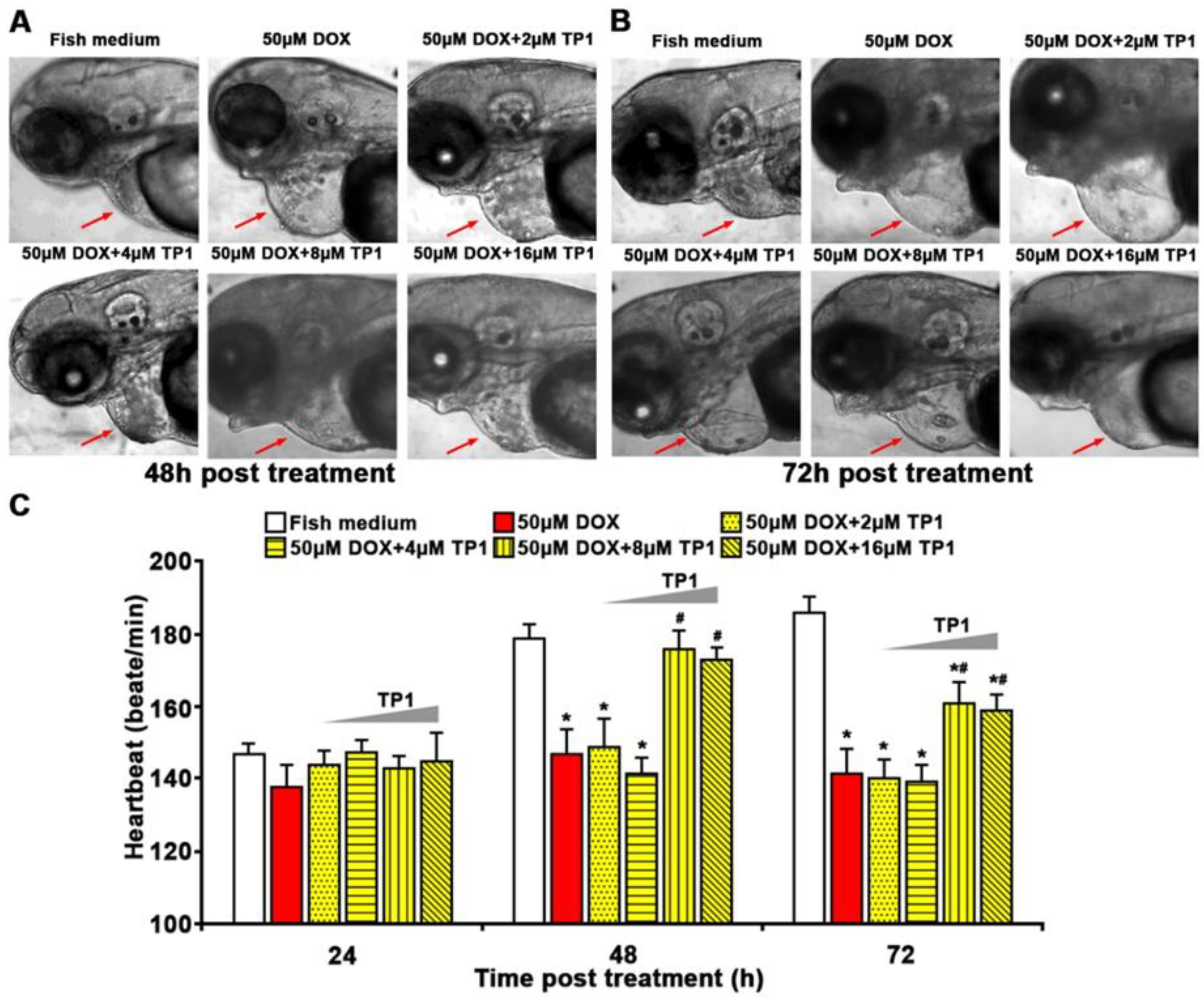 Preprints 153208 g006