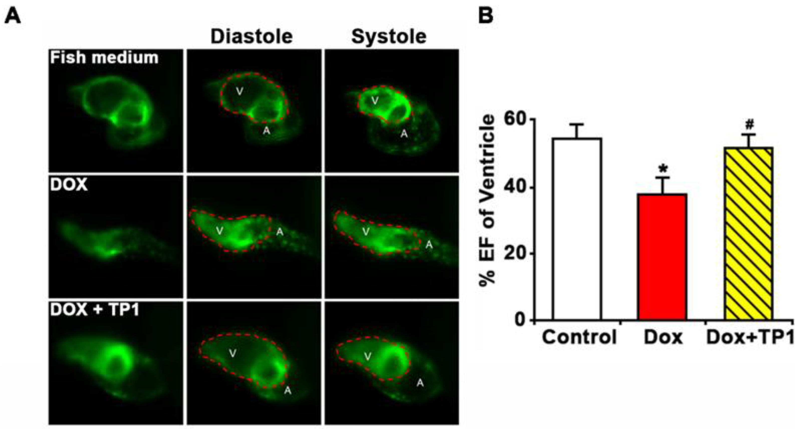 Preprints 153208 g007