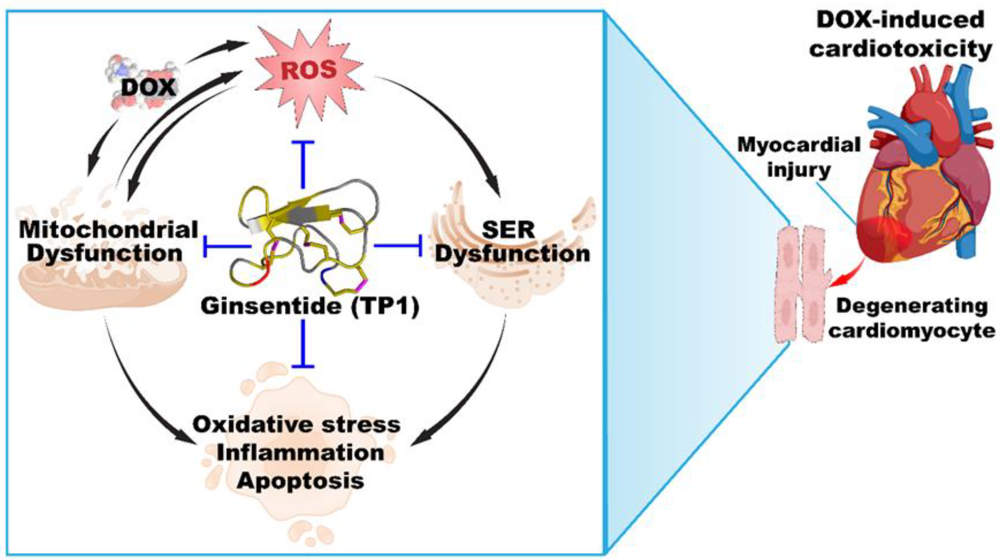 Preprints 153208 g009