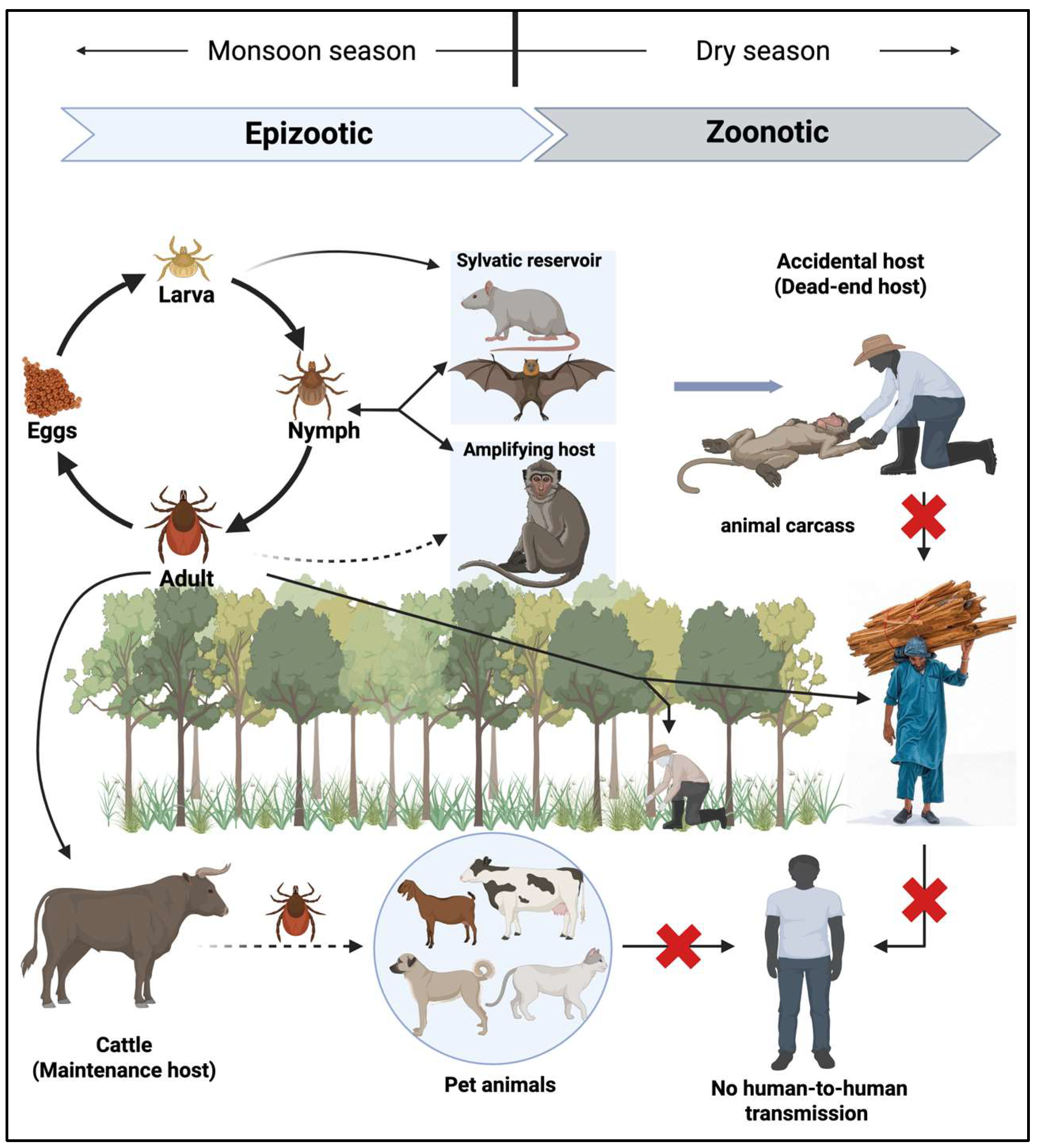 Preprints 160758 g002