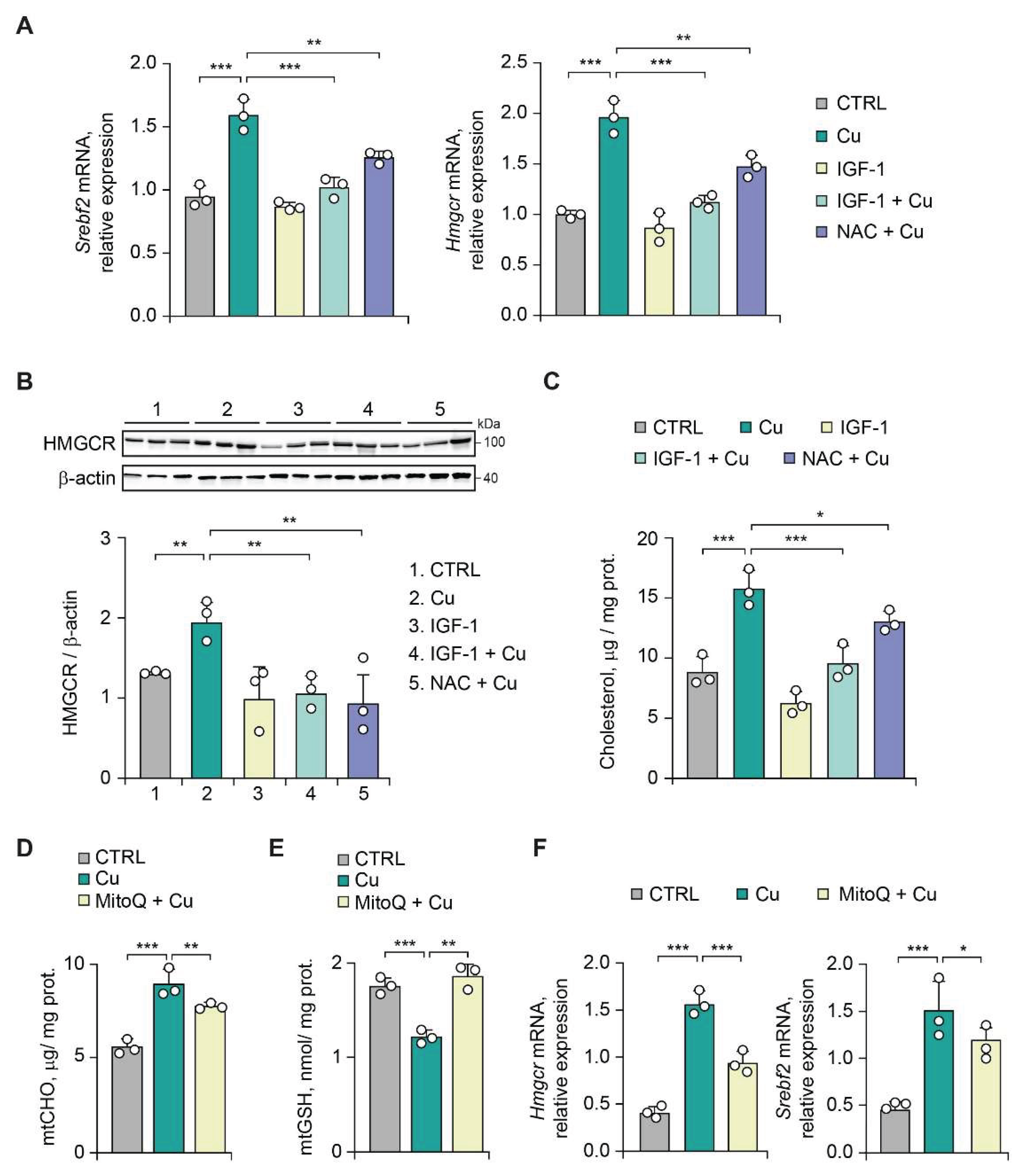 Preprints 225313 g002