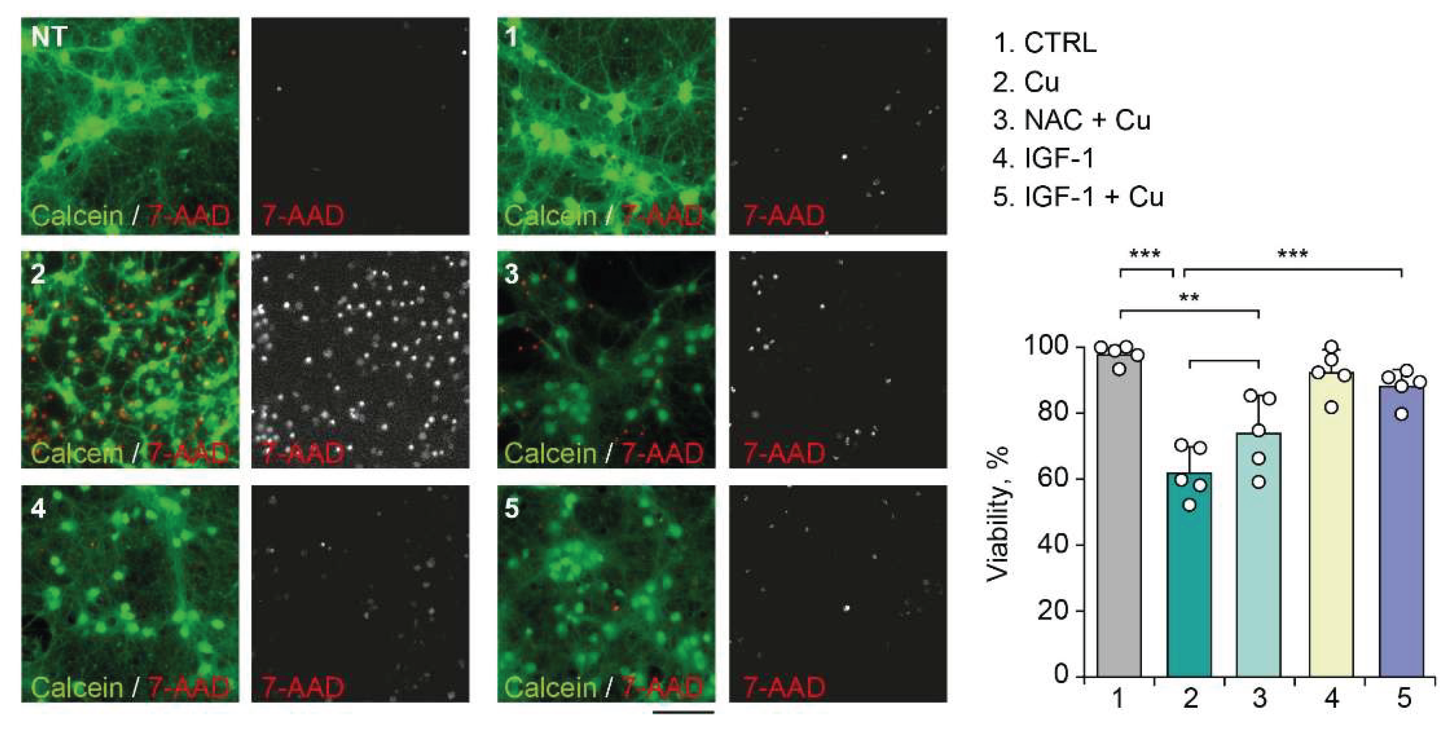 Preprints 225313 g004