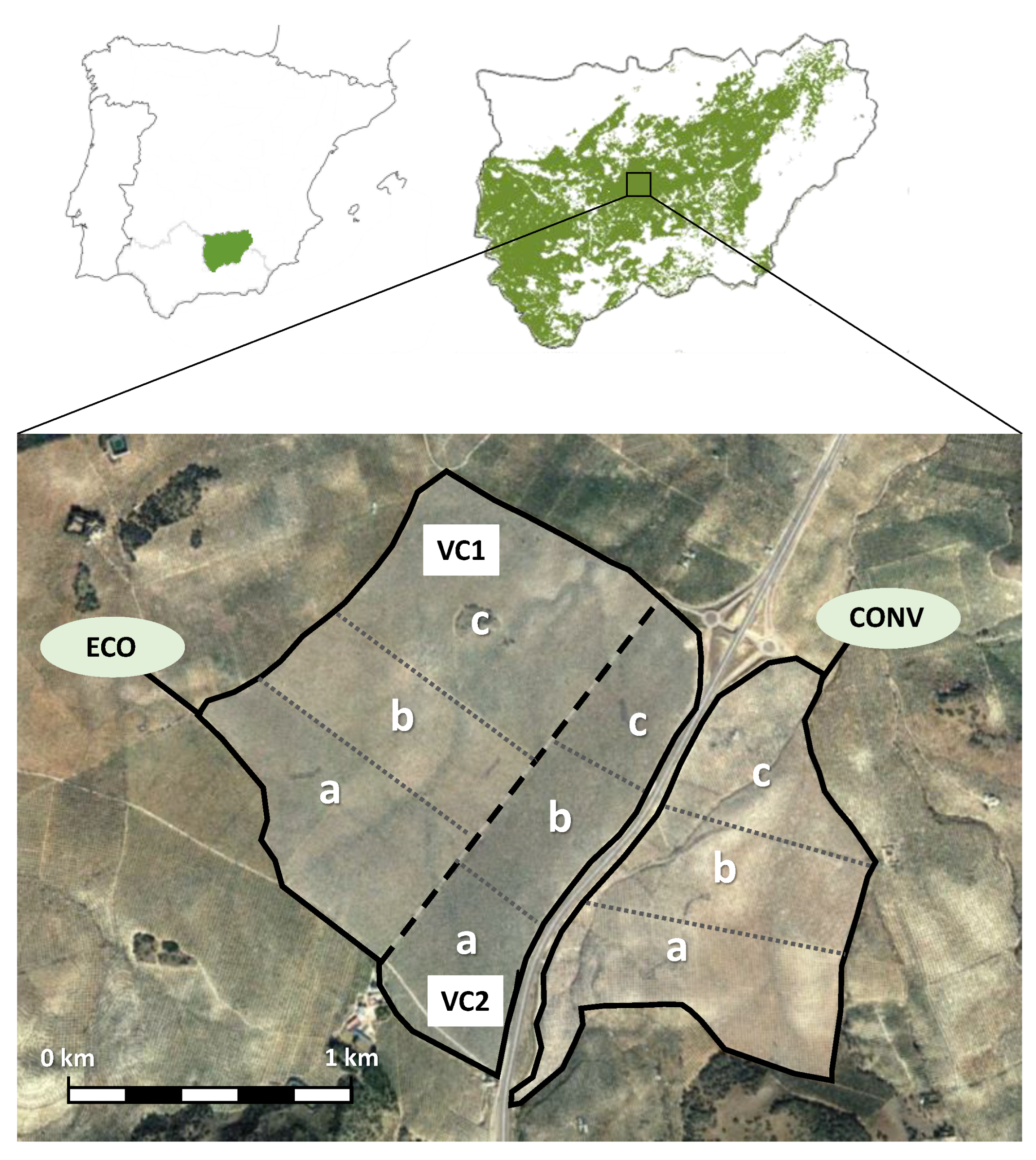Preprints 116519 g001