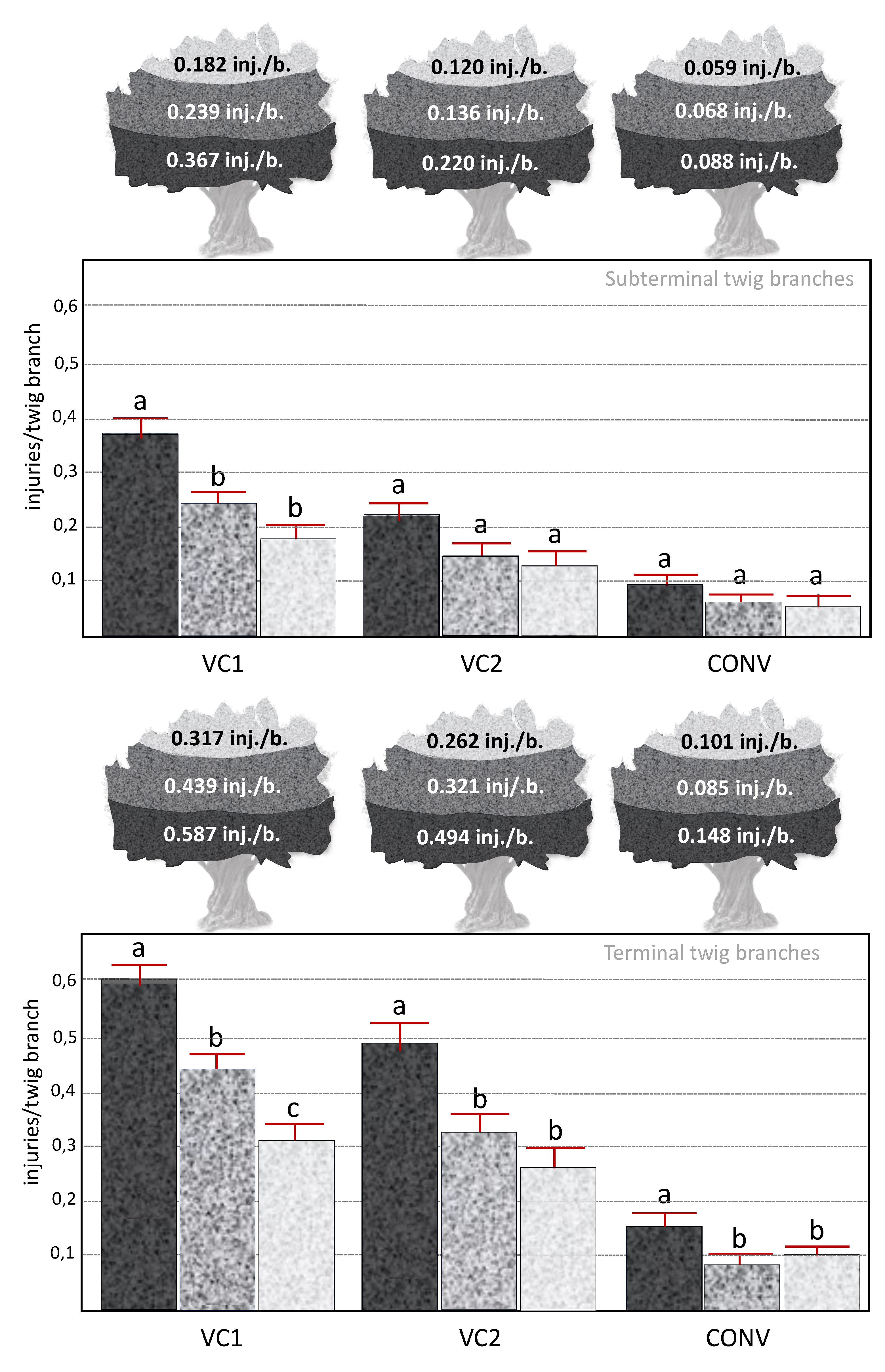 Preprints 116519 g005