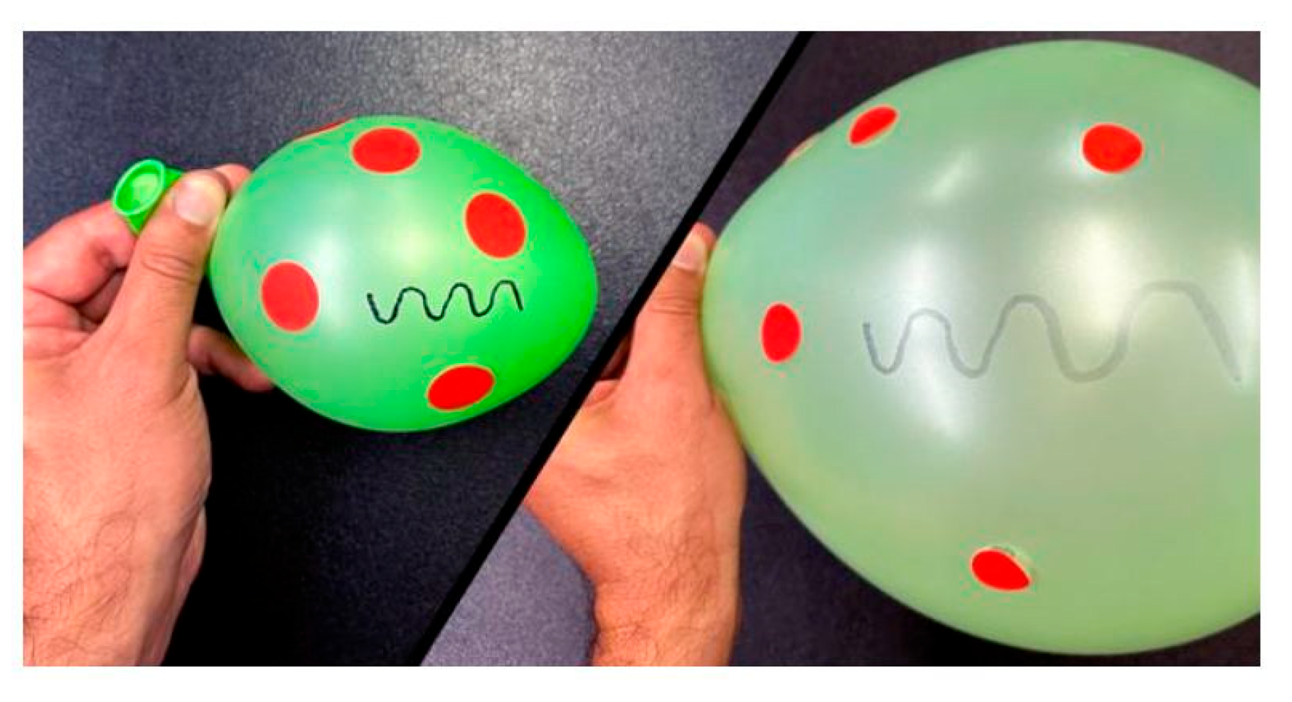 Preprints 112780 g002