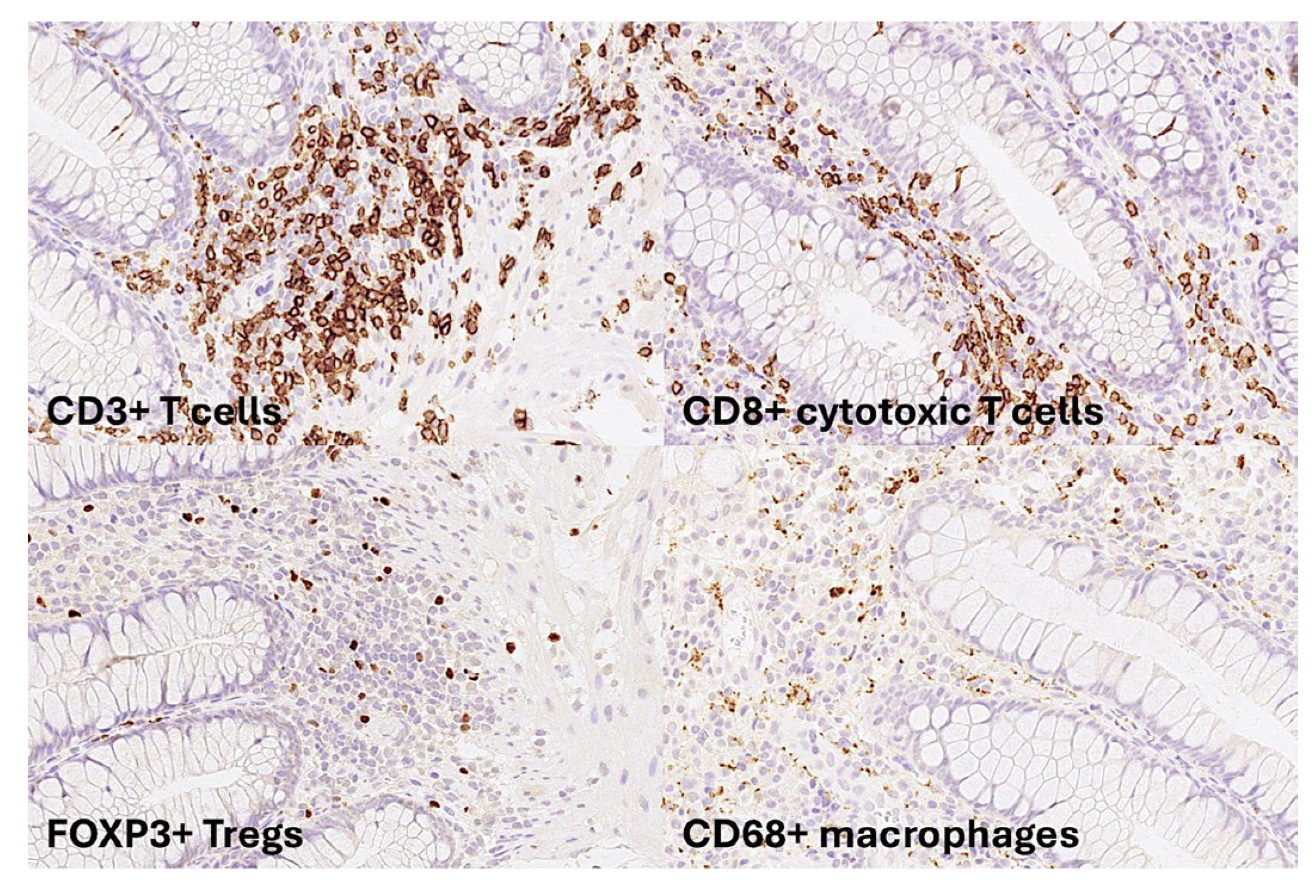 Preprints 155781 g002
