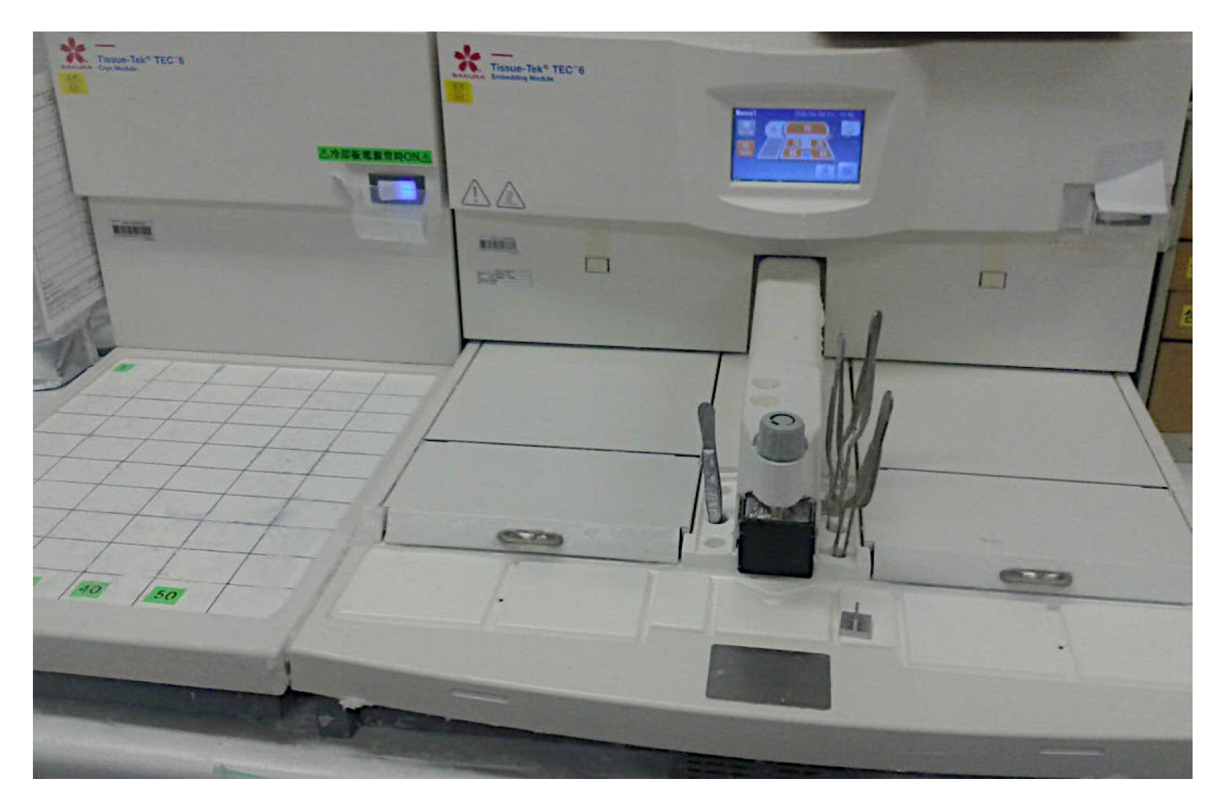 Preprints 155781 g007