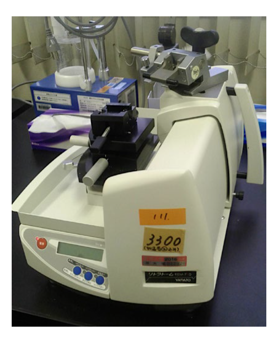 Preprints 155781 g008