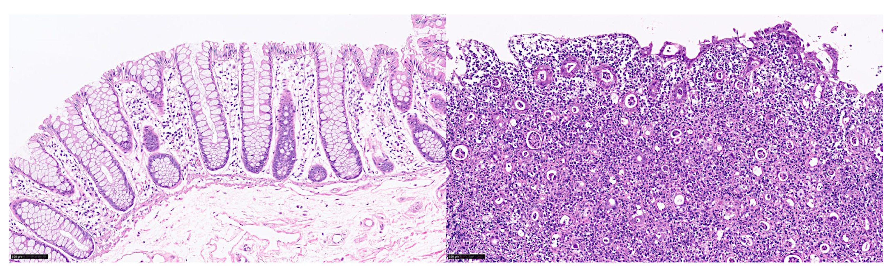 Preprints 155781 g010