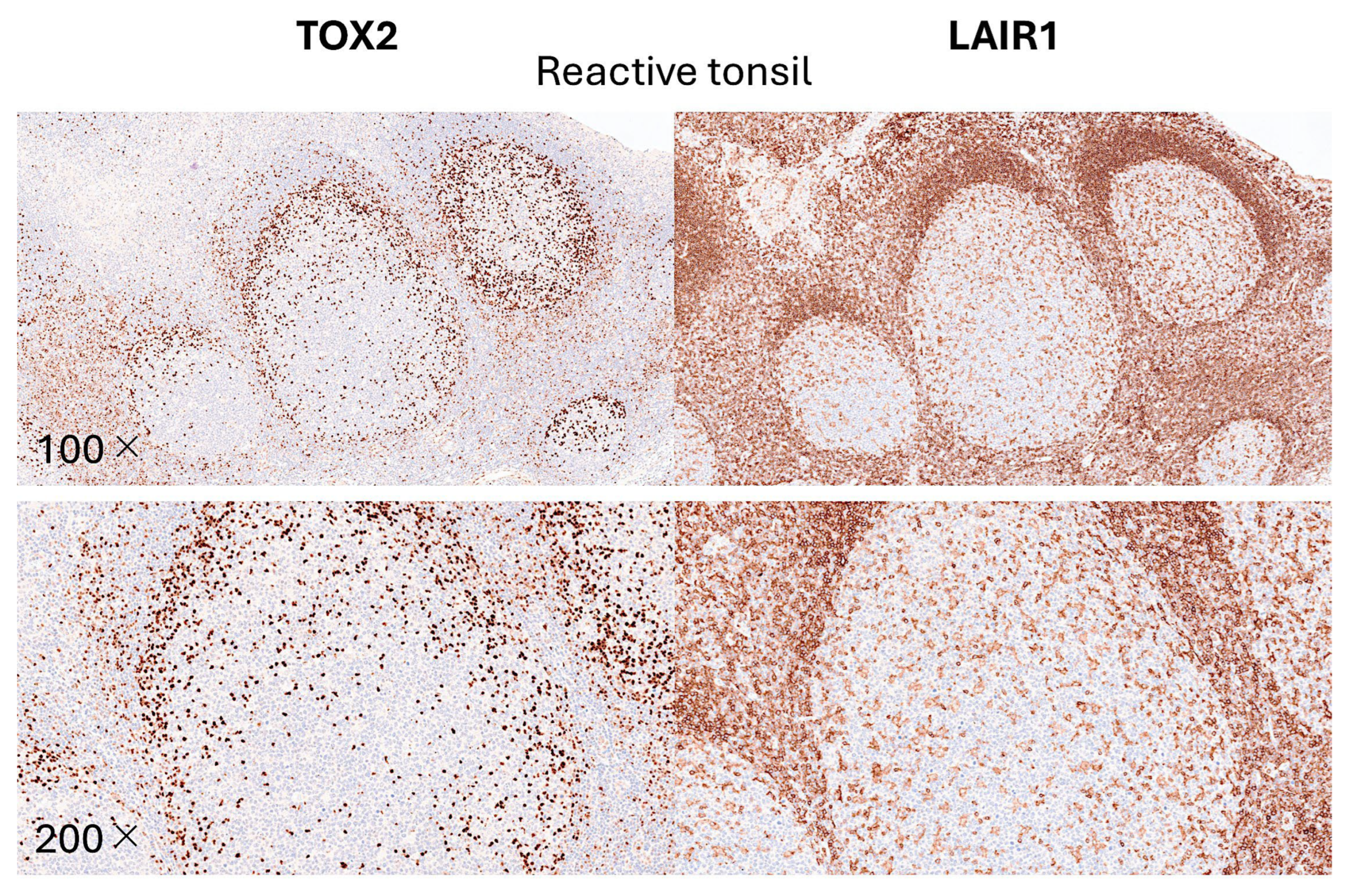 Preprints 155781 g013