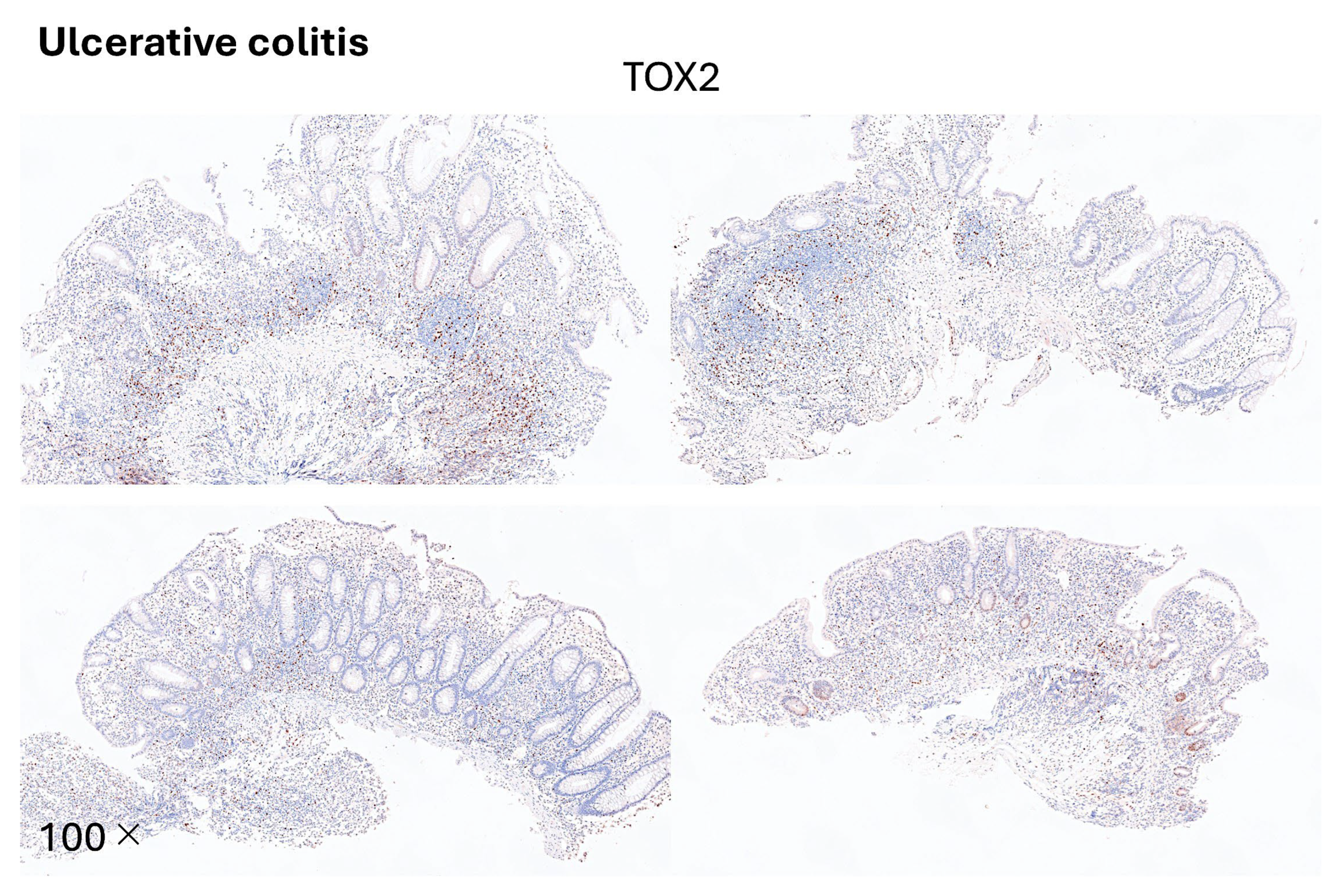 Preprints 155781 g015