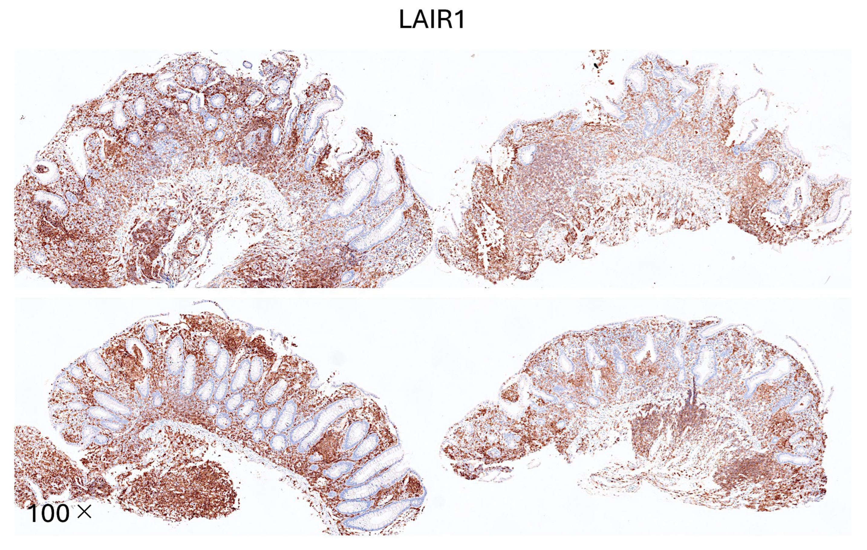 Preprints 155781 g016