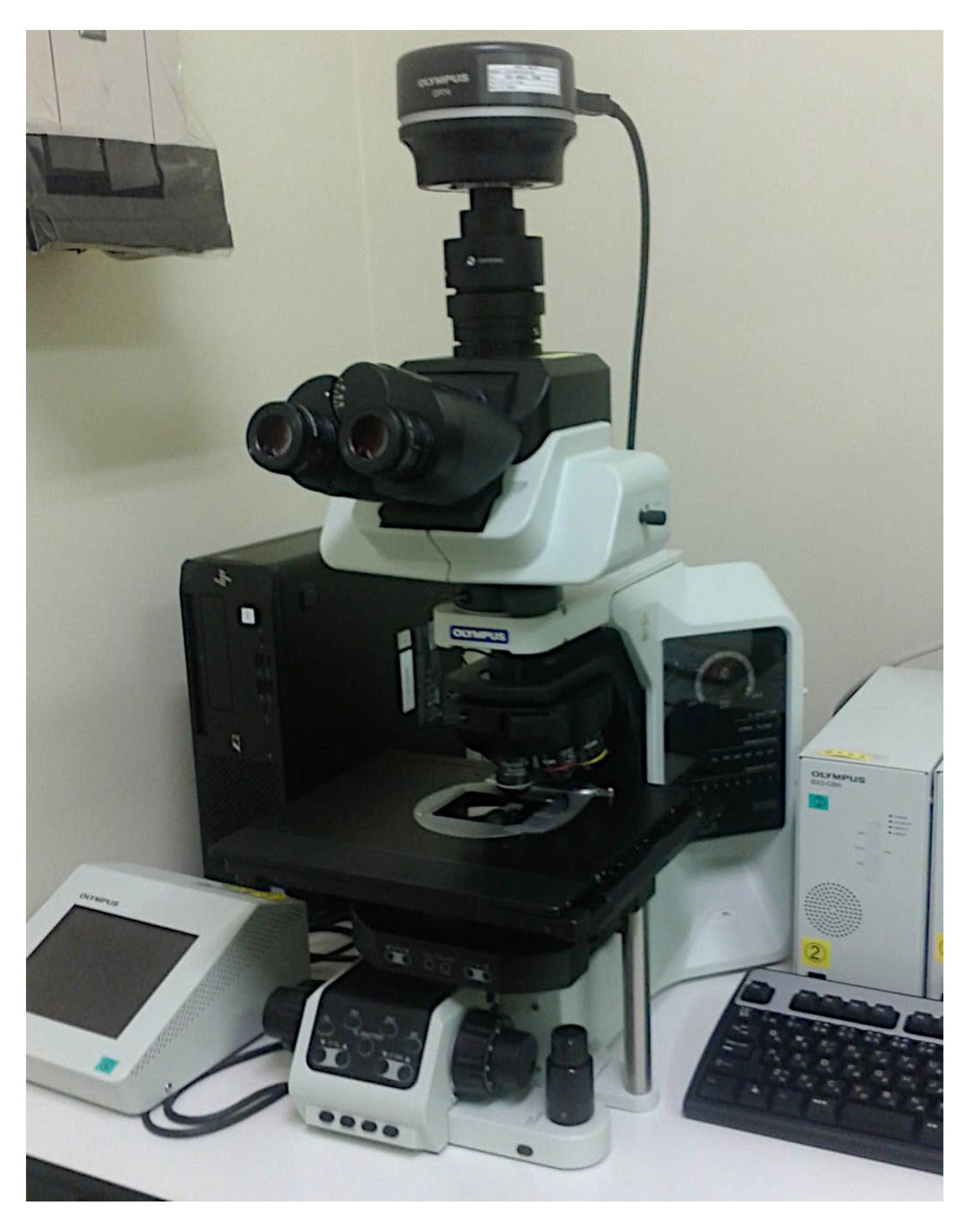 Preprints 155781 g017