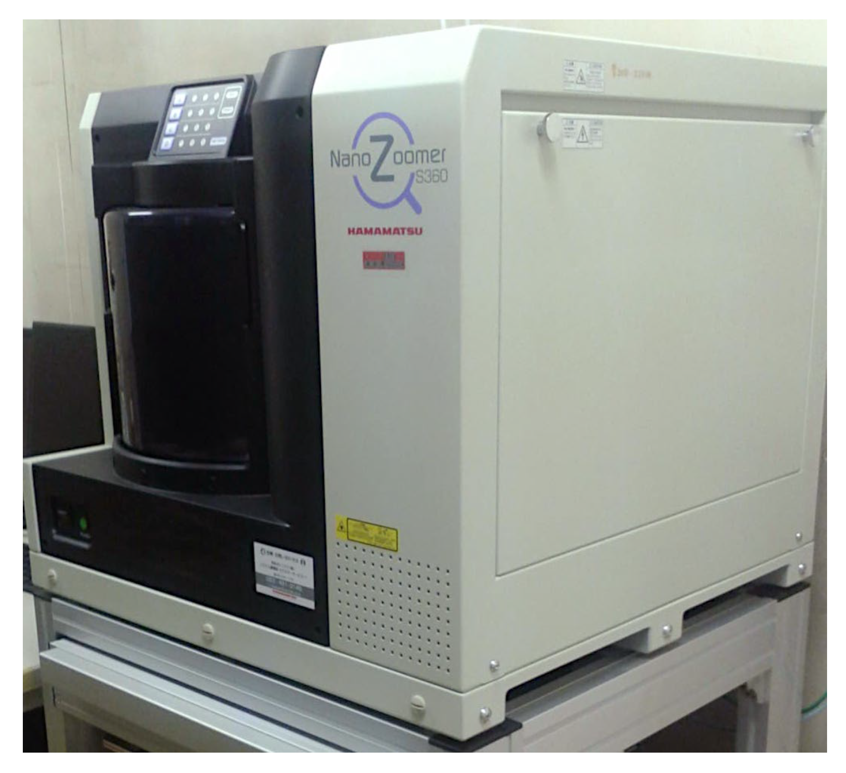 Preprints 155781 g018