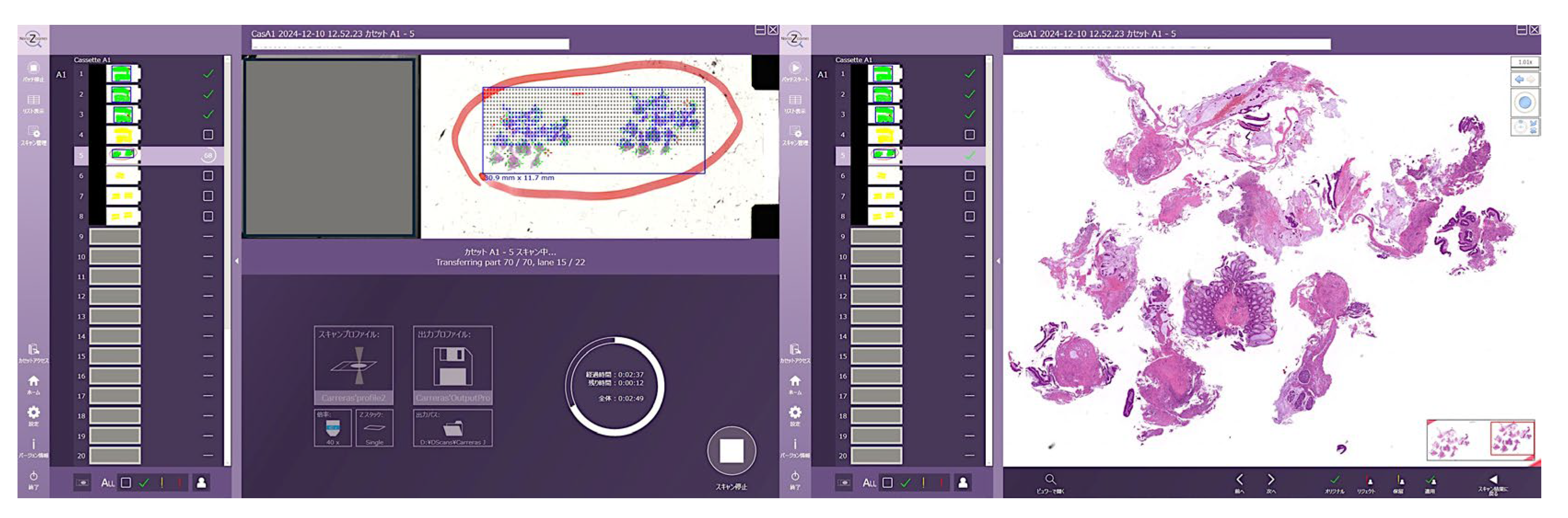 Preprints 155781 g019
