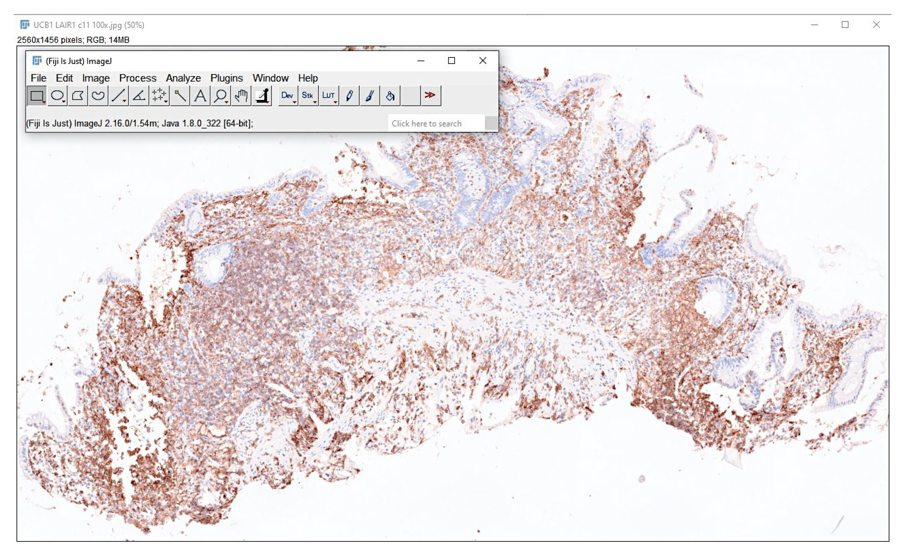 Preprints 155781 g020