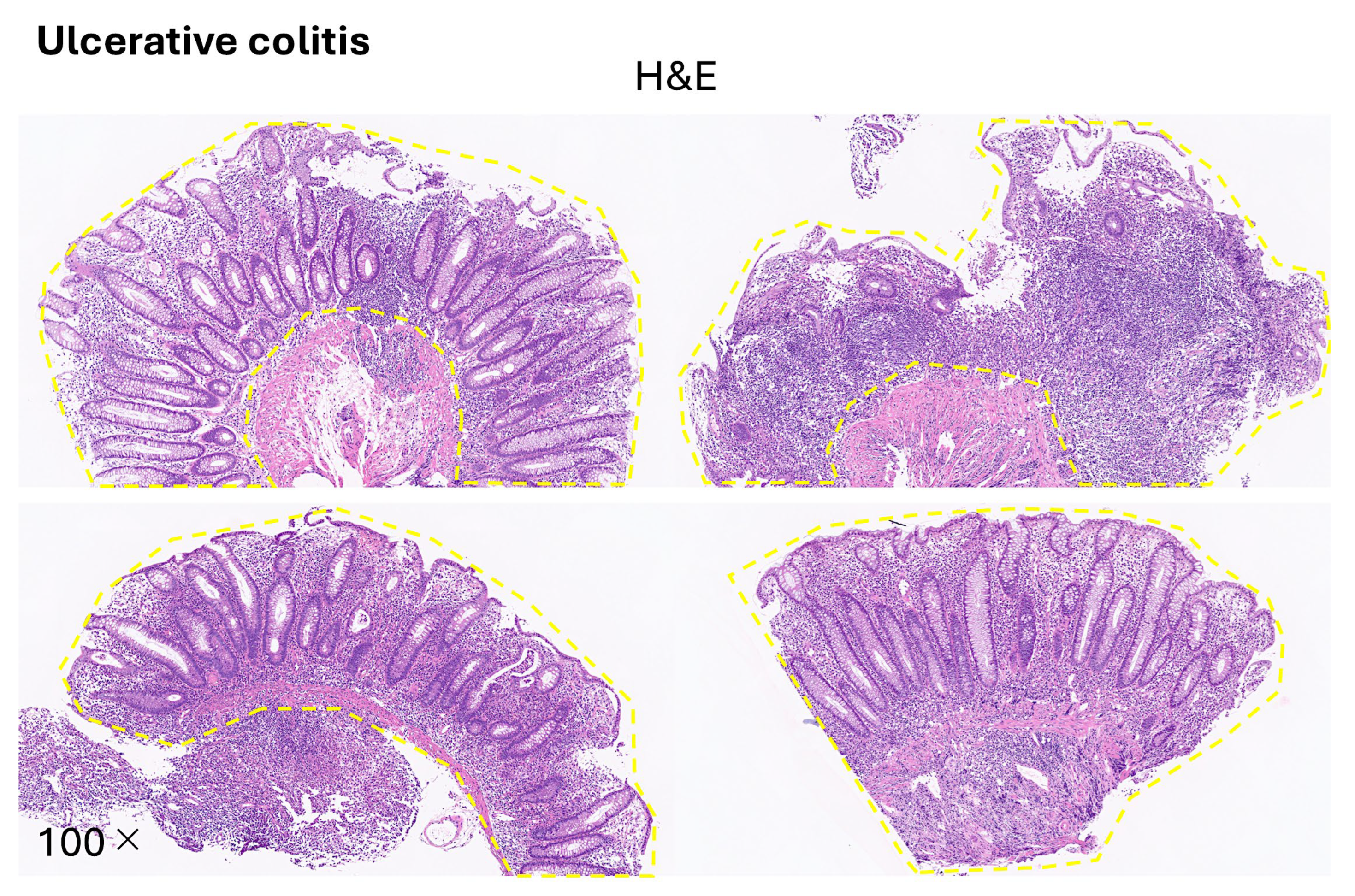 Preprints 155781 g021