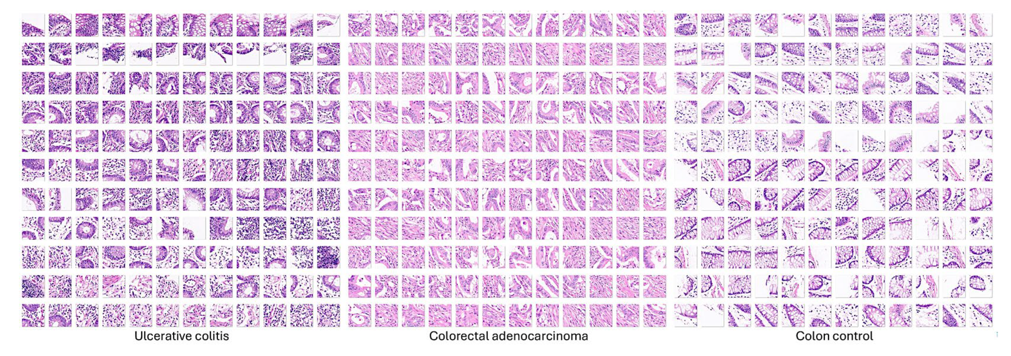 Preprints 155781 g022