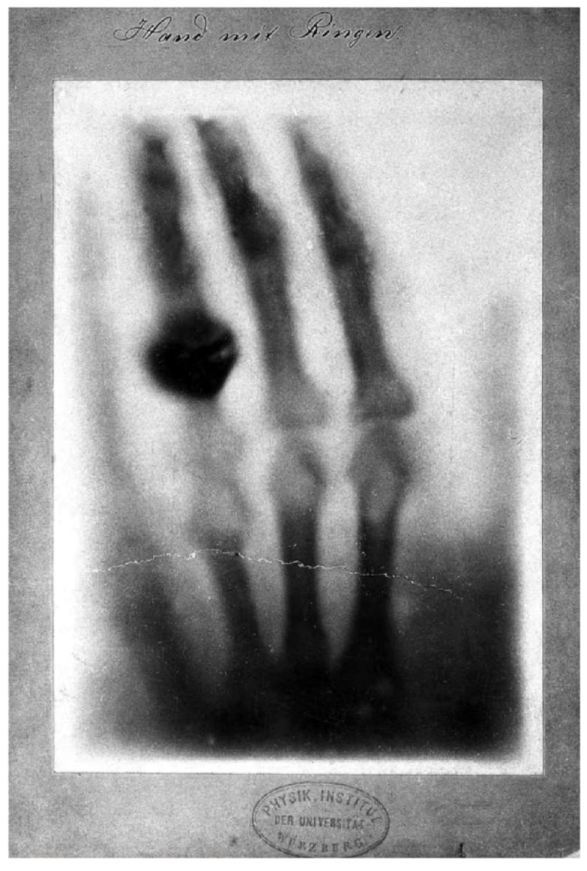 Preprints 146052 g001