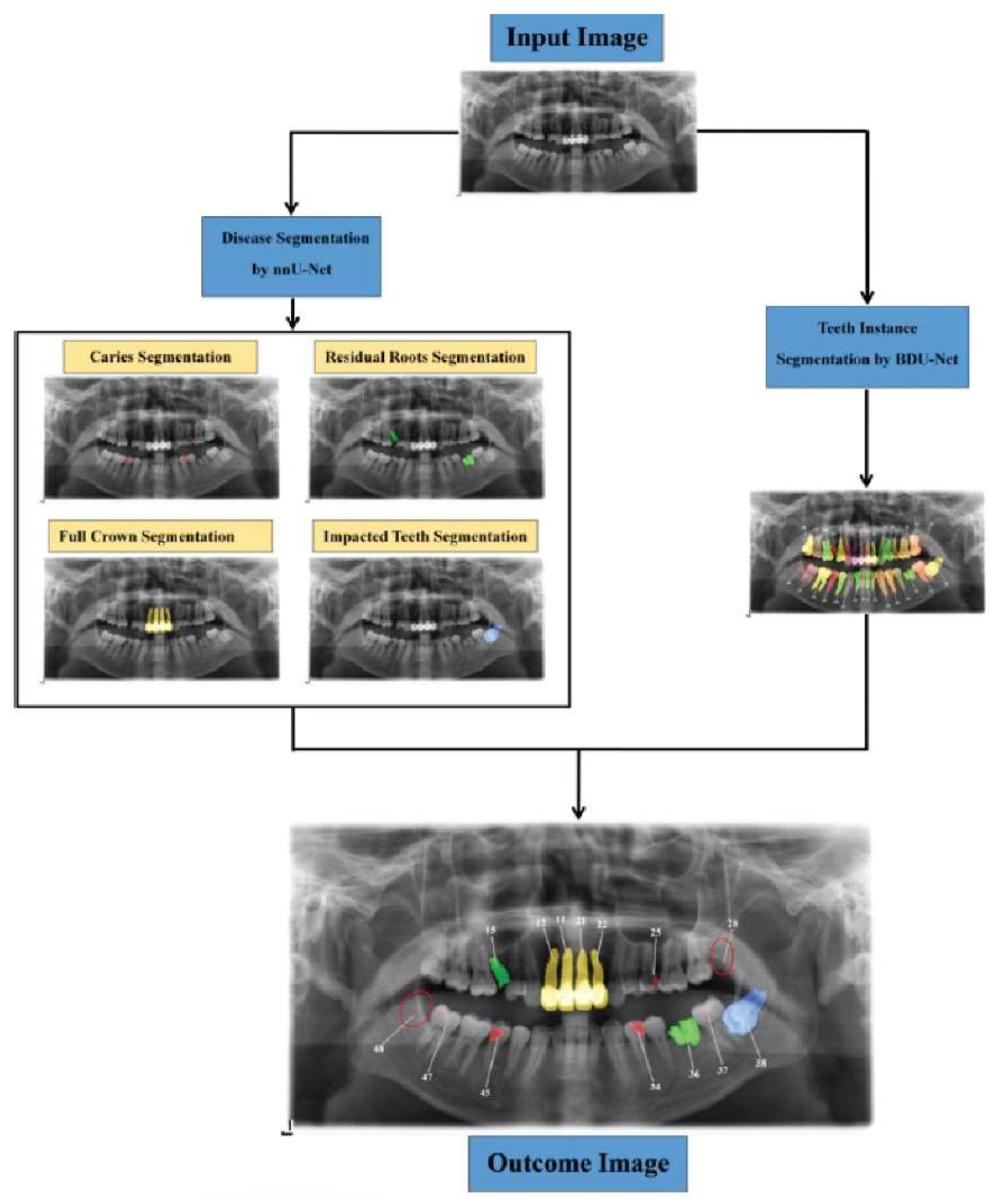 Preprints 146052 g002