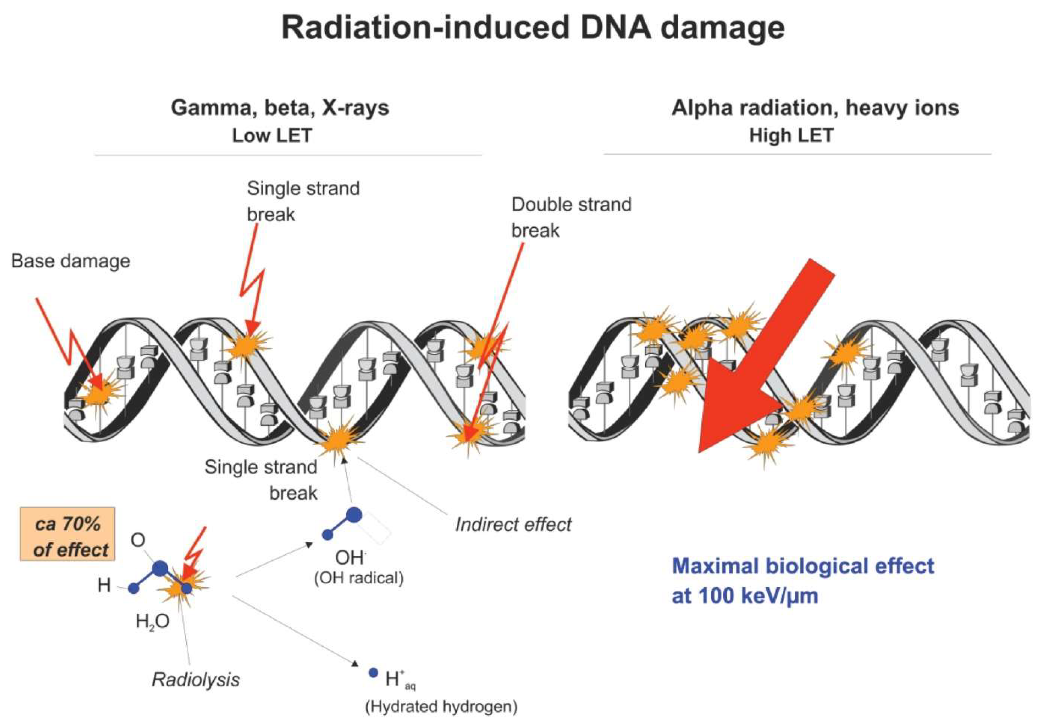 Preprints 146052 g004