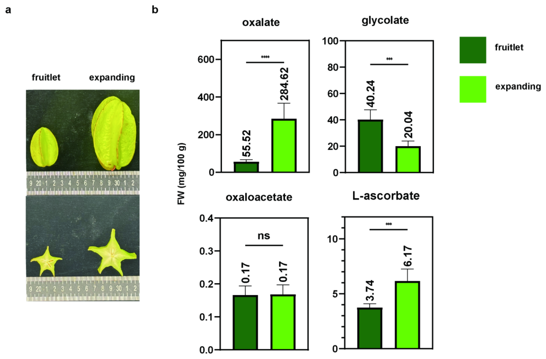 Preprints 229054 g002 Preprints 229054 g002