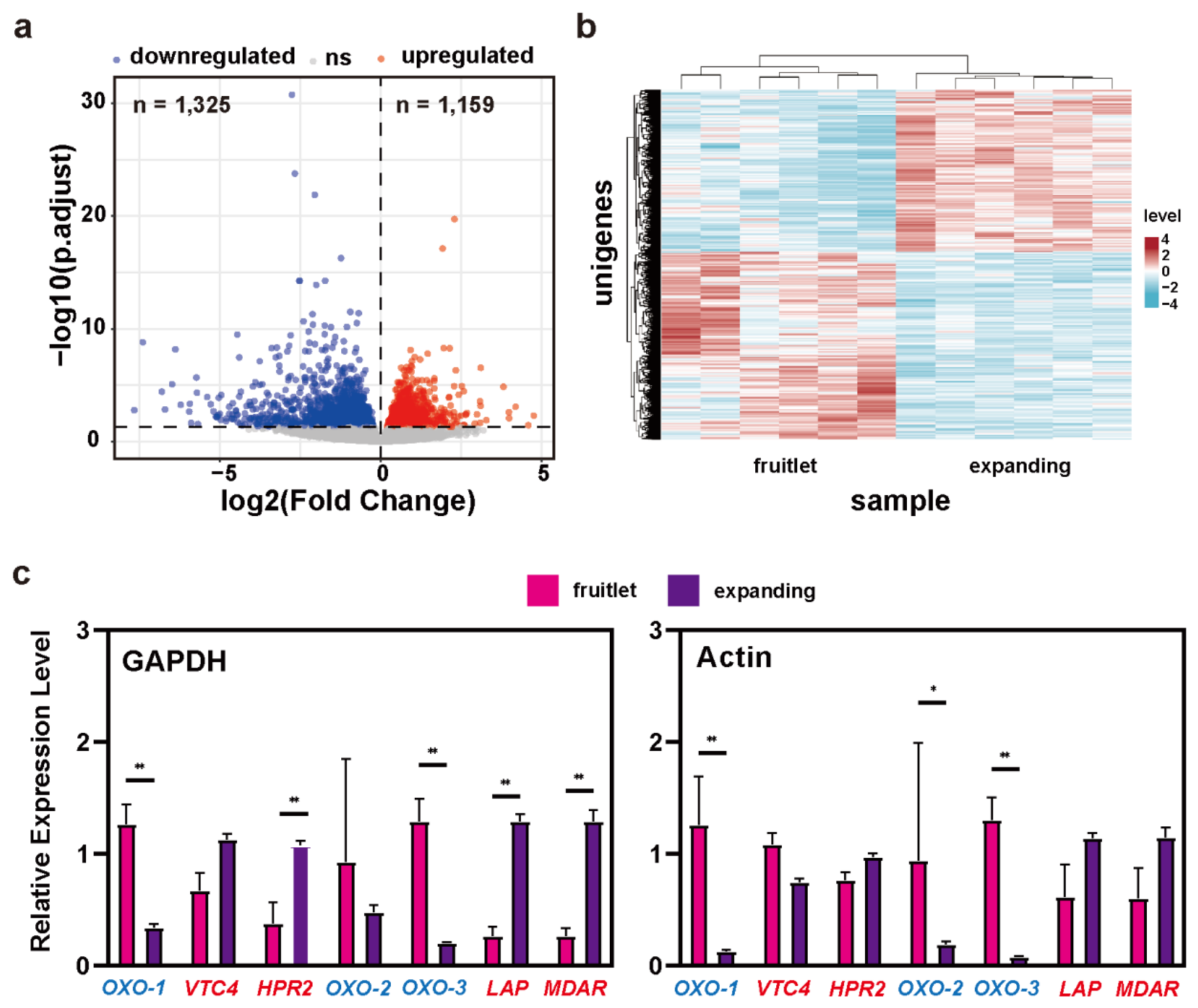 Preprints 229054 g004 Preprints 229054 g004