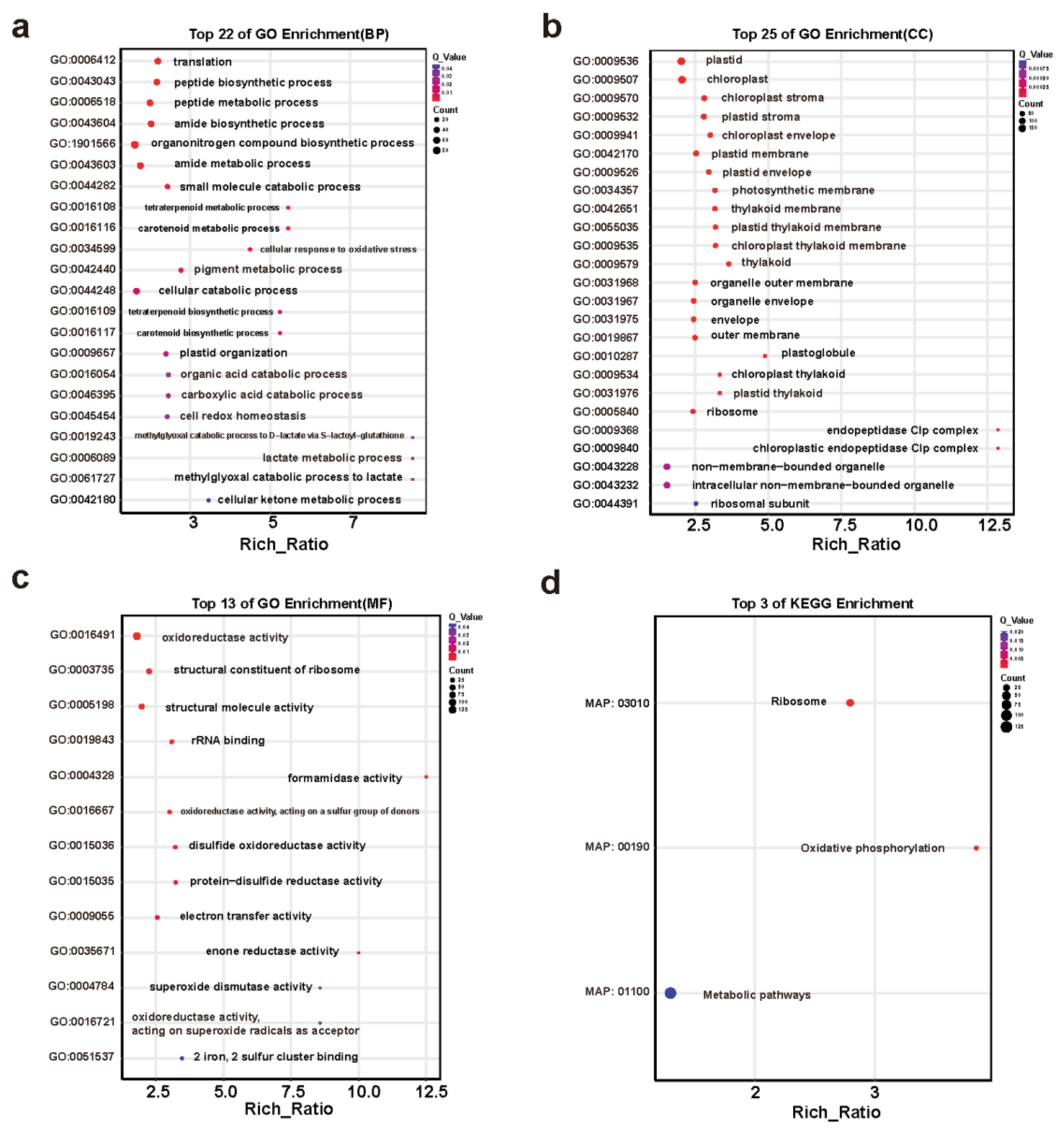 Preprints 229054 g005 Preprints 229054 g005