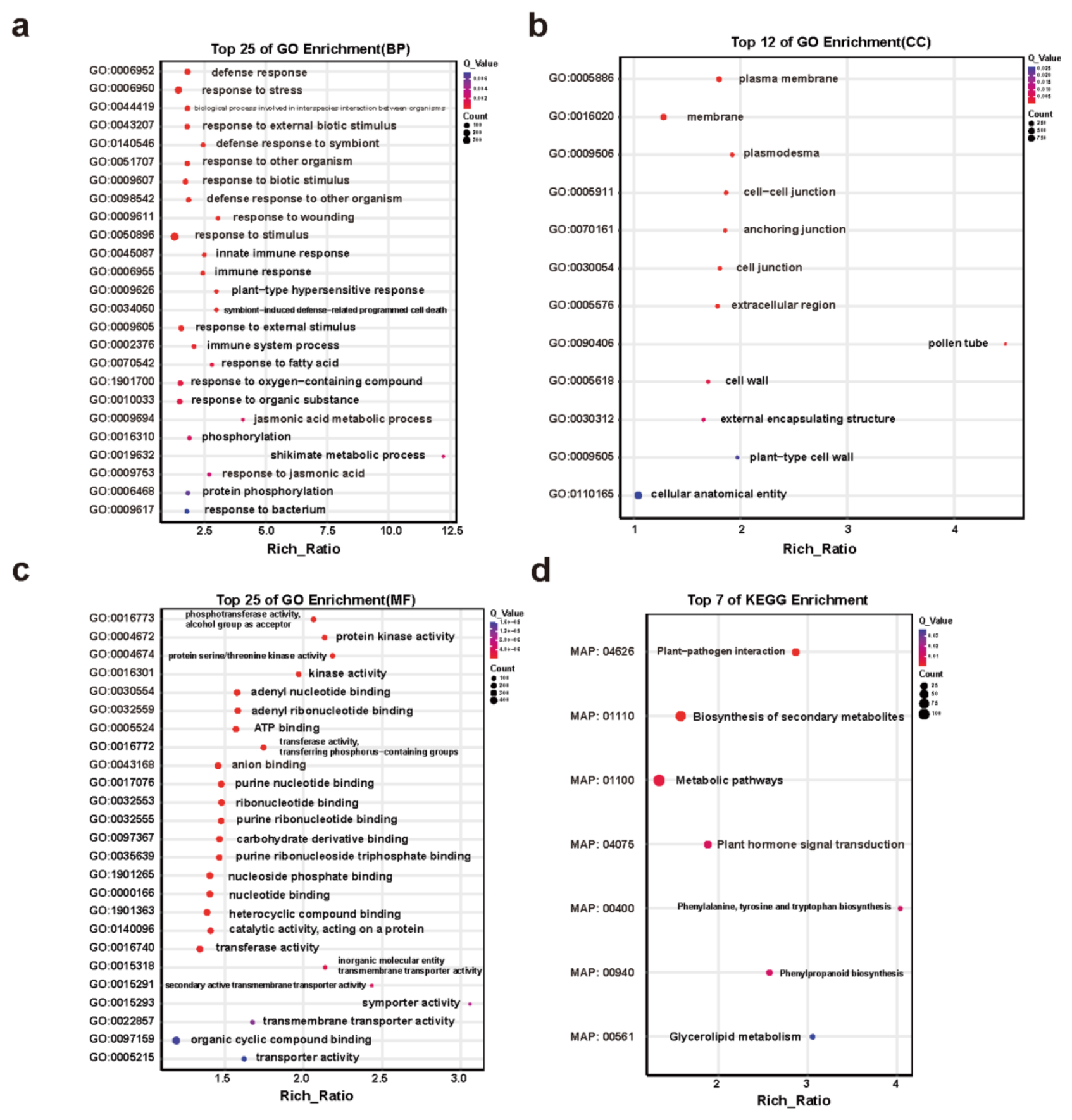 Preprints 229054 g006 Preprints 229054 g006