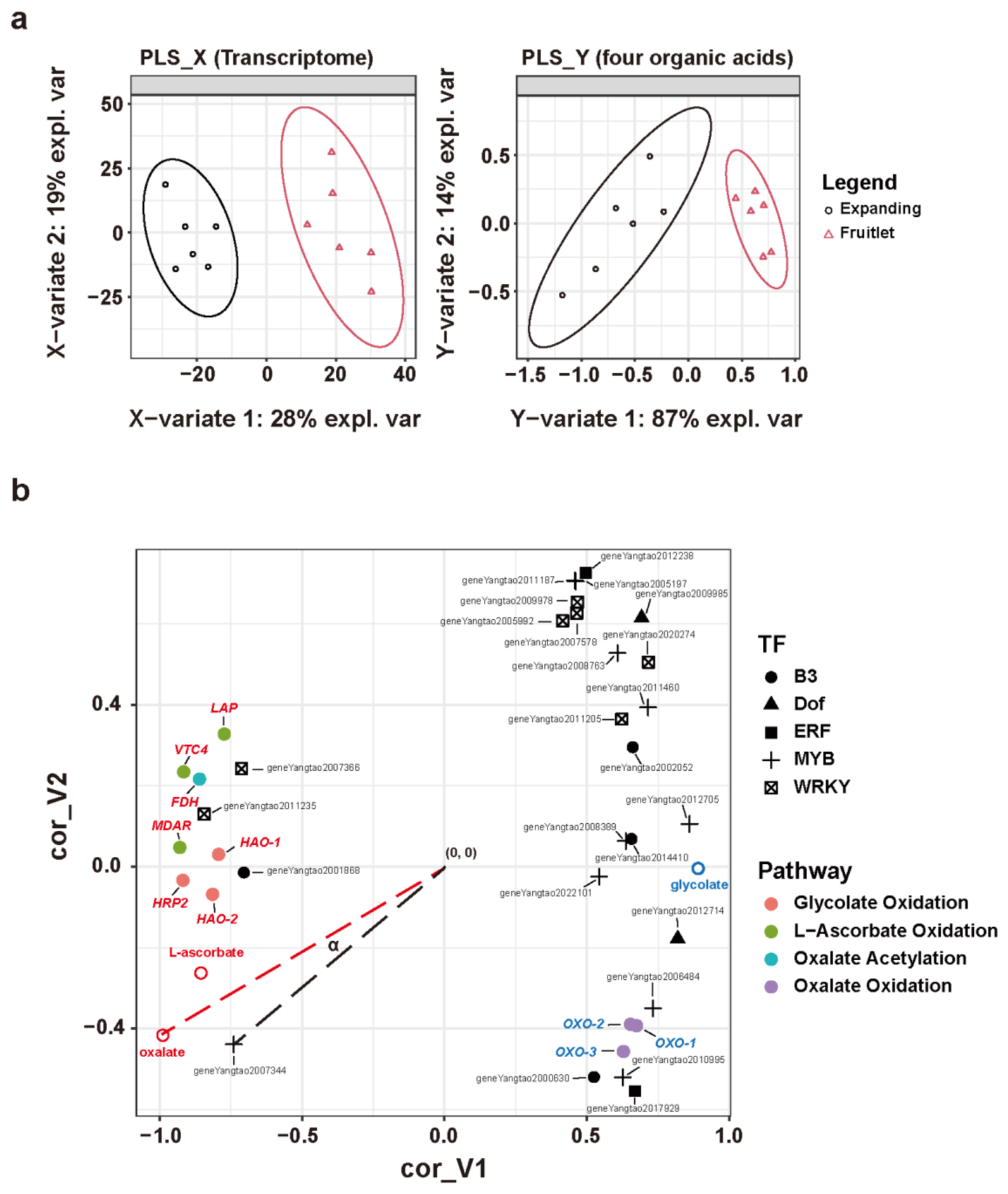Preprints 229054 g008 Preprints 229054 g008