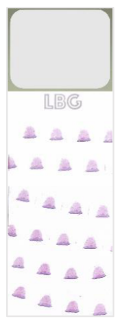Preprints 226288 g005