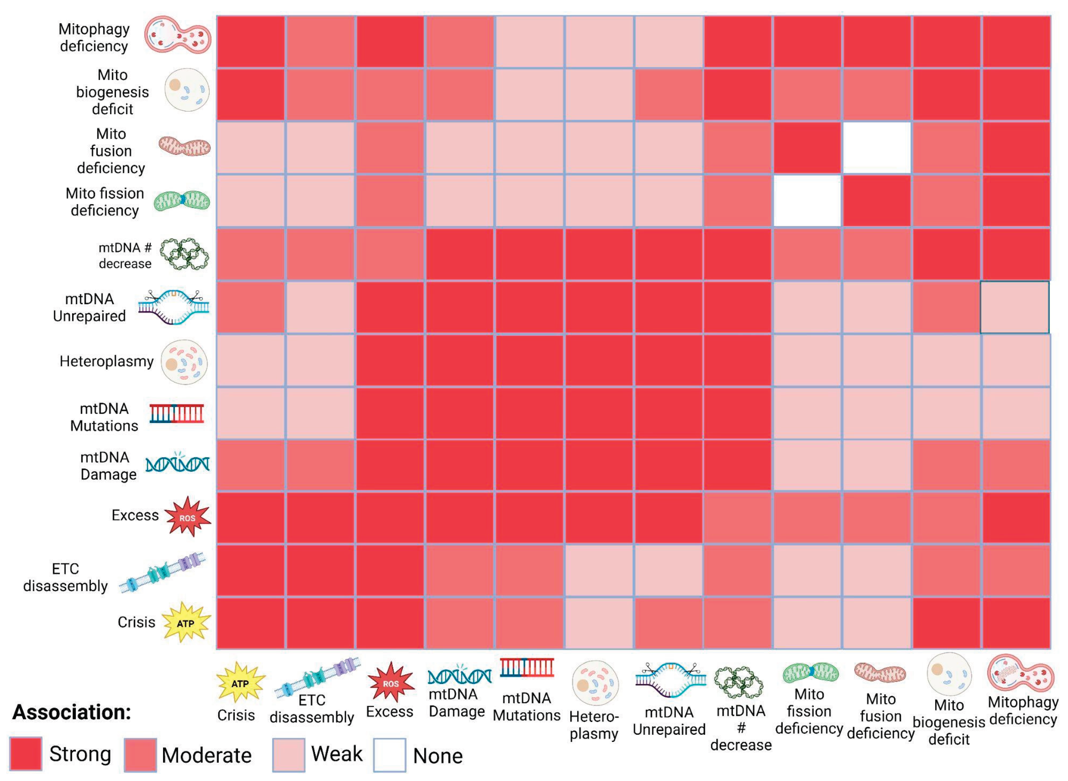 Preprints 196885 g003
