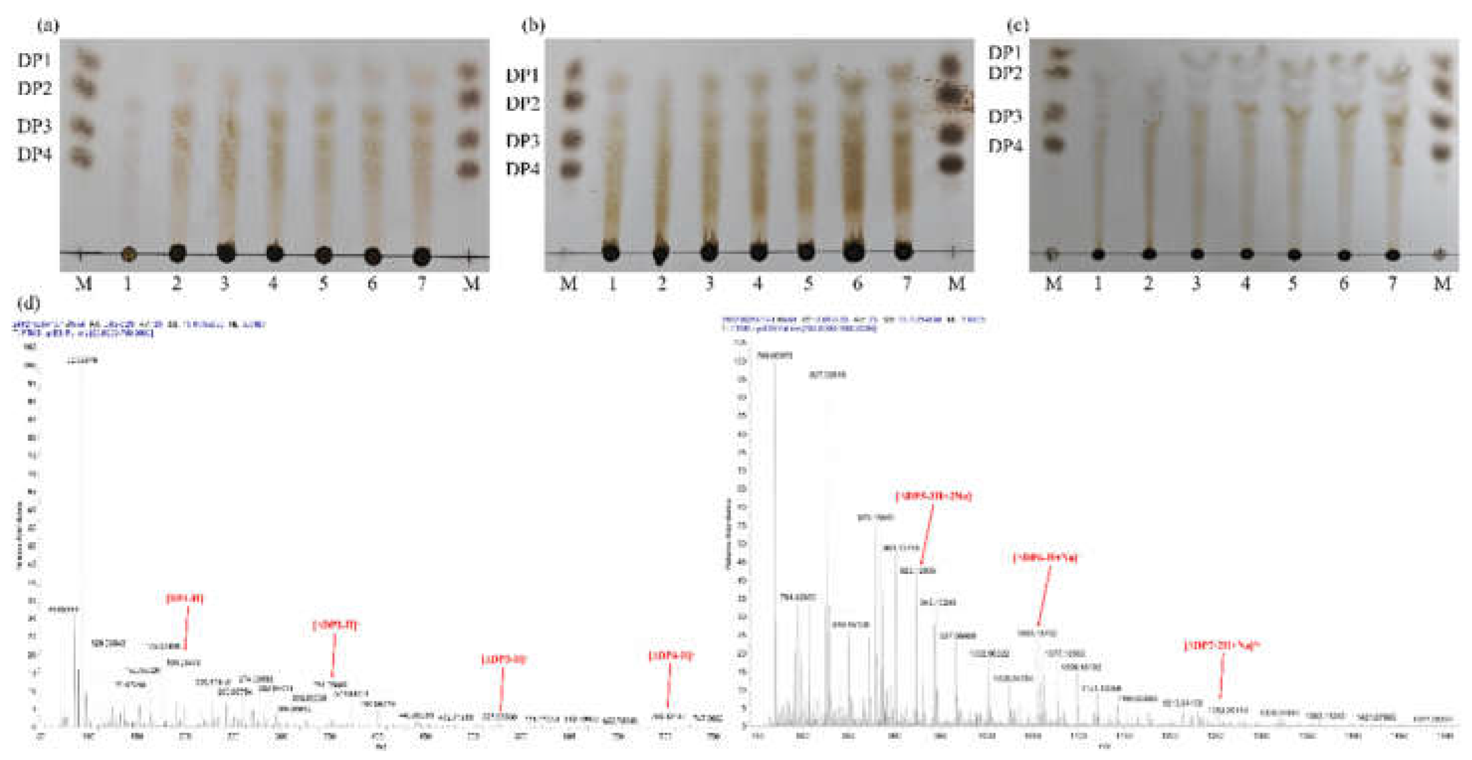 Preprints 152568 g003