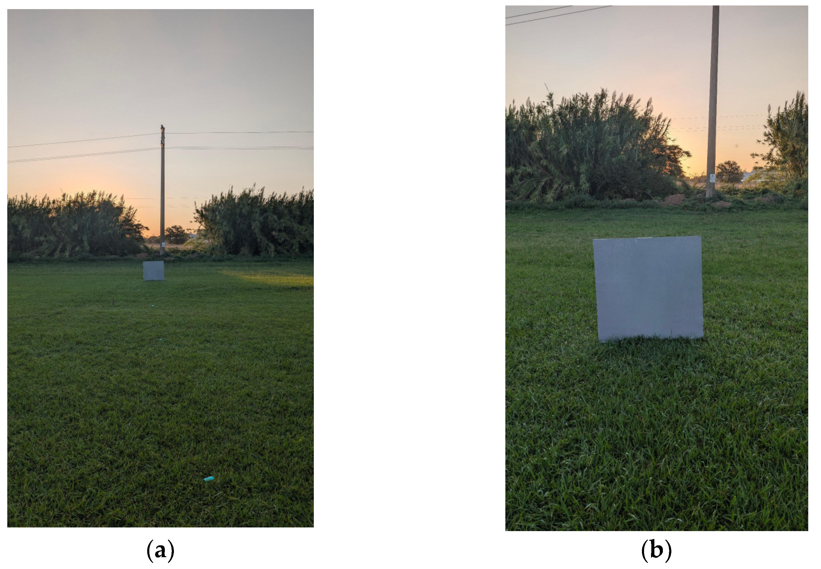 Preprints 184101 g002