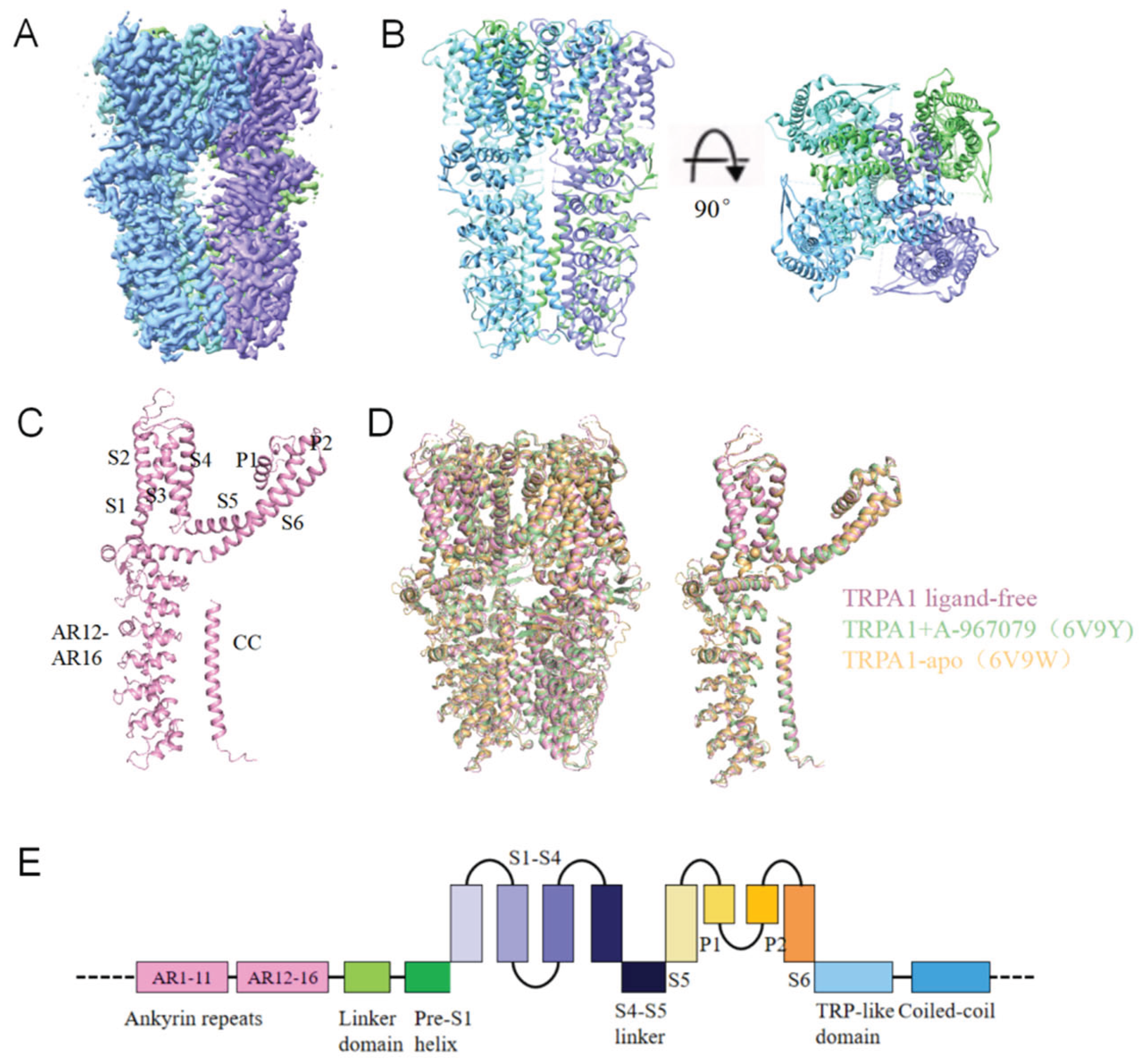 Preprints 160073 g001