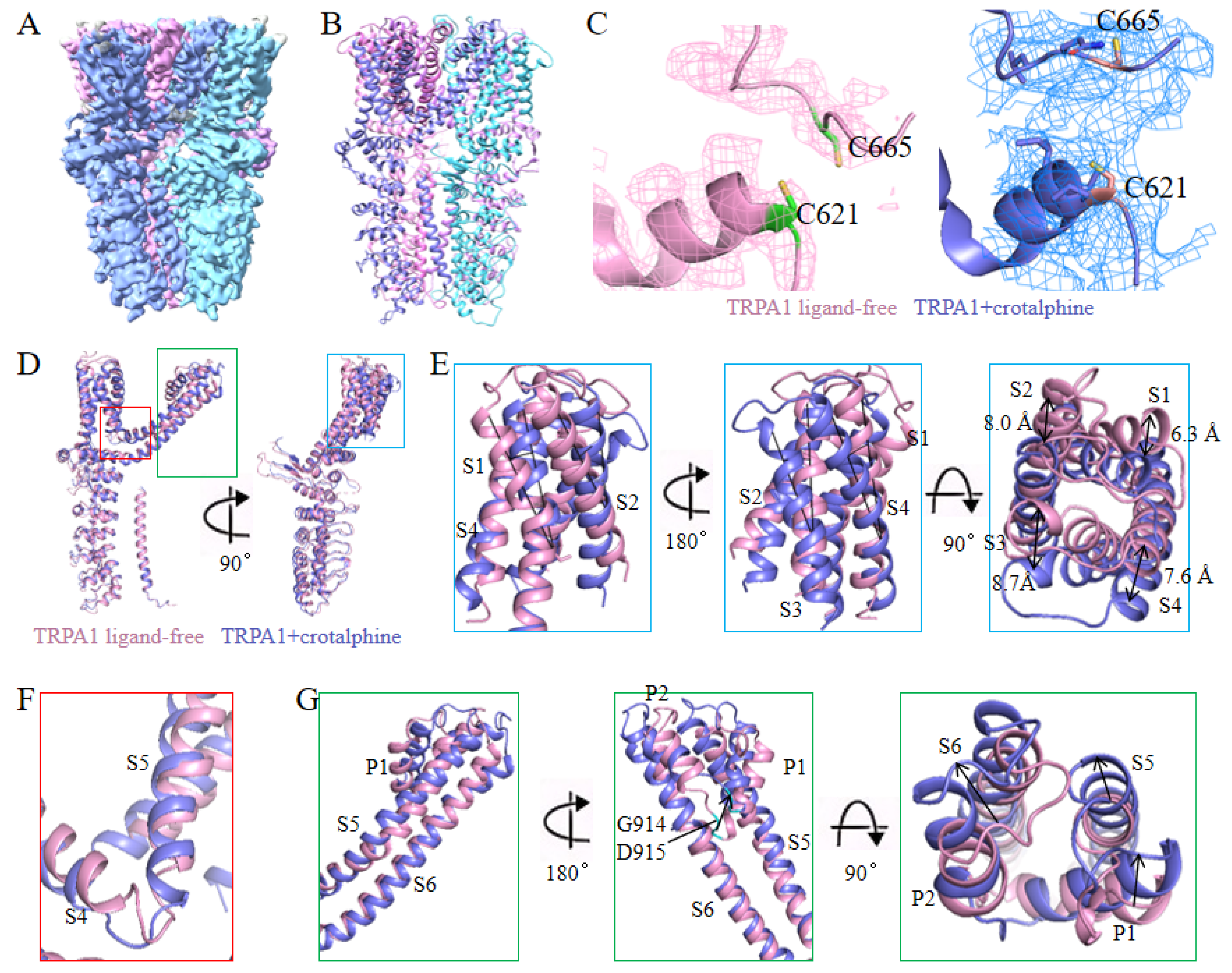 Preprints 160073 g002
