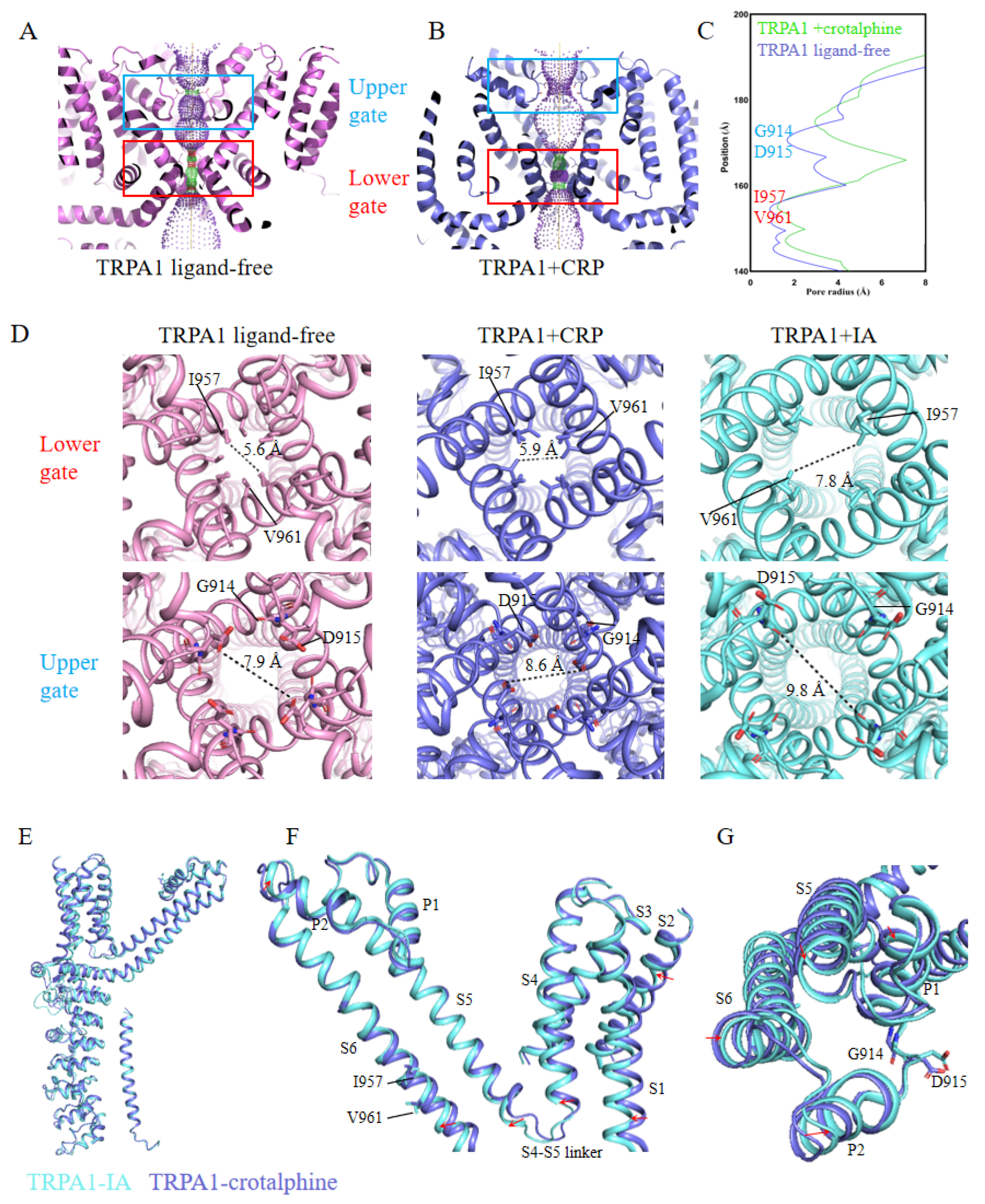 Preprints 160073 g003