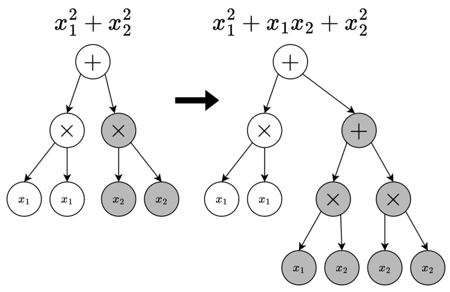 Preprints 154255 g002