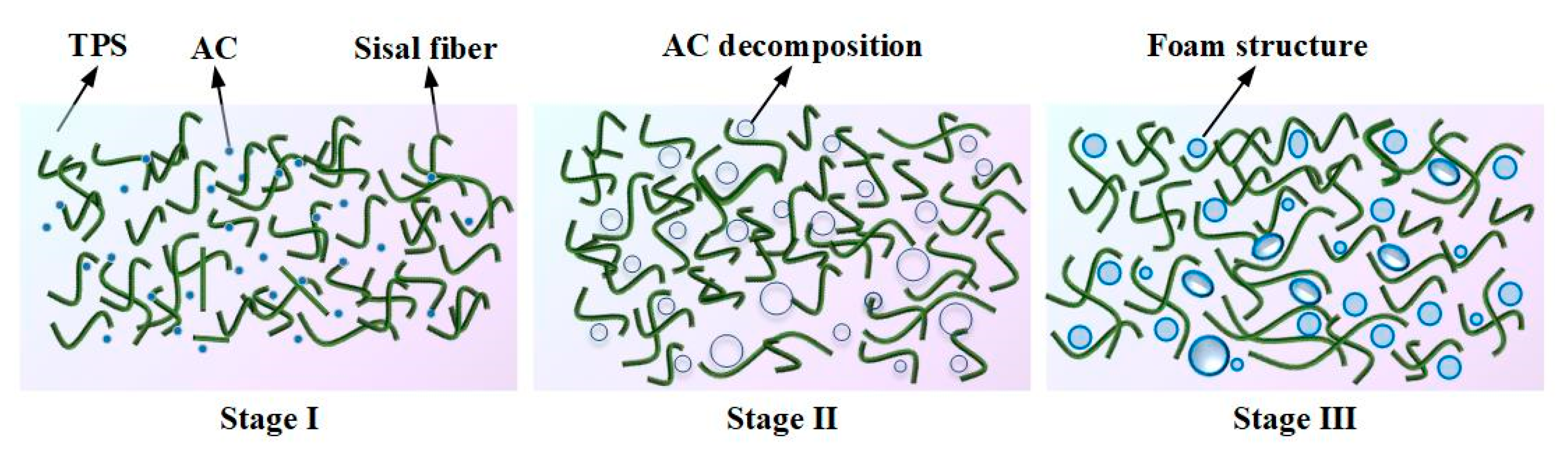 Preprints 81121 g004