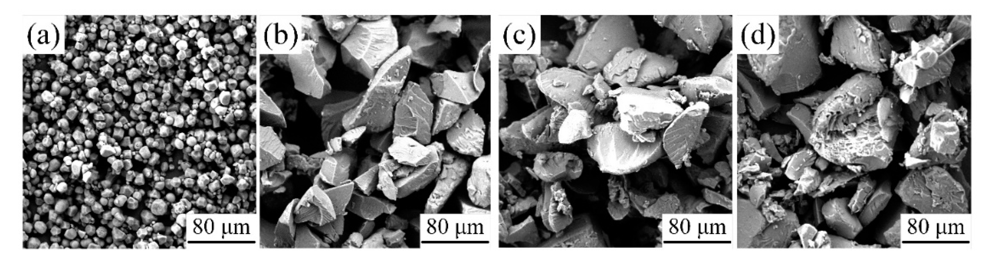 Preprints 81121 g009