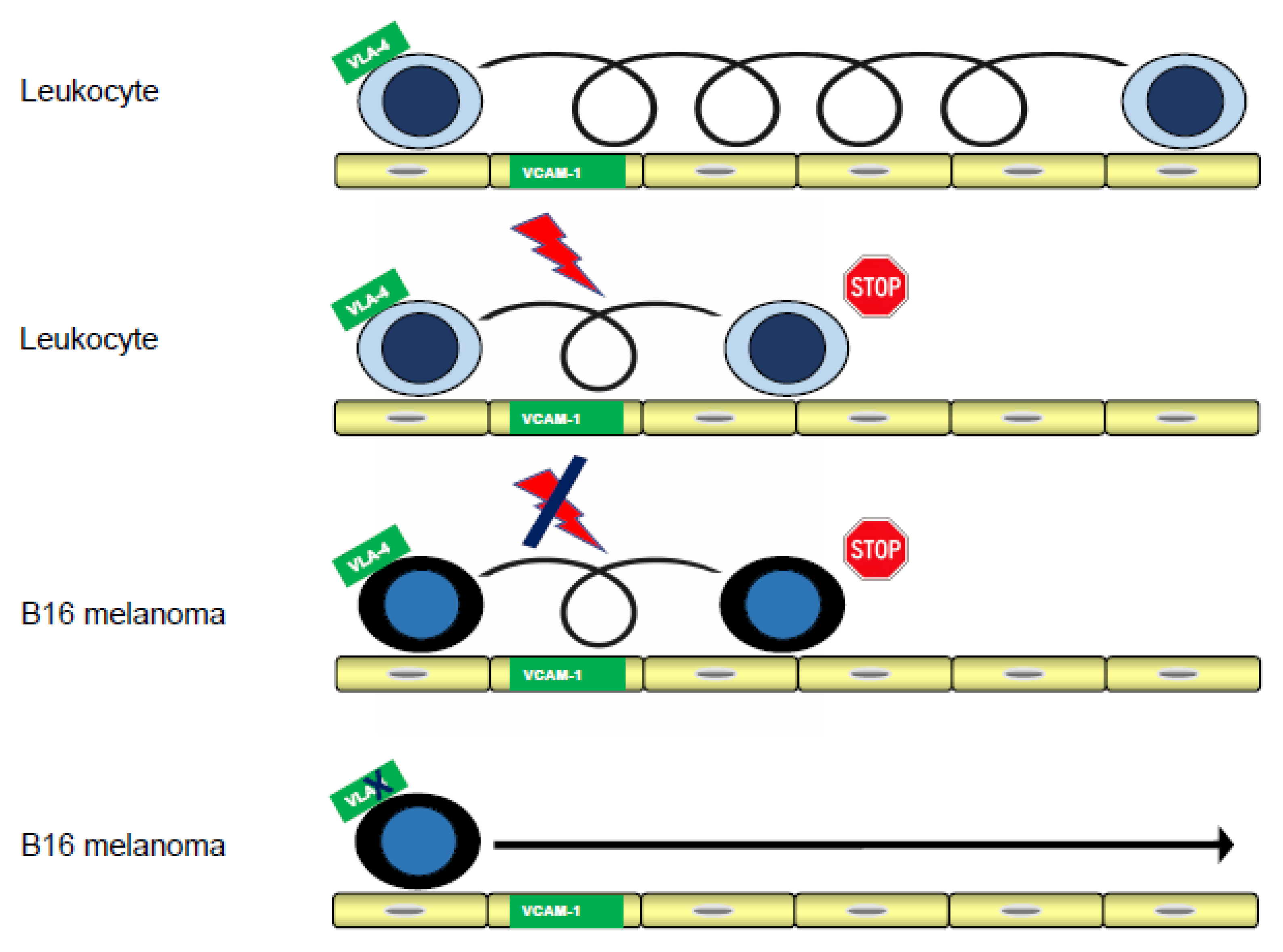 Preprints 207981 g004