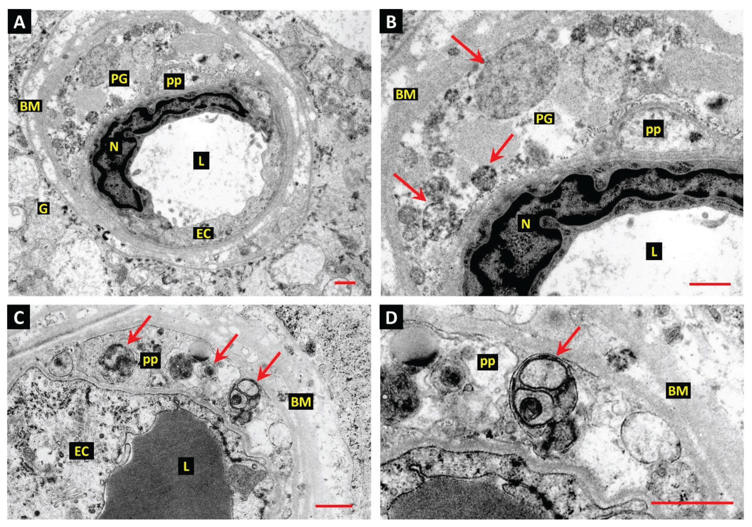 Preprints 170402 g003