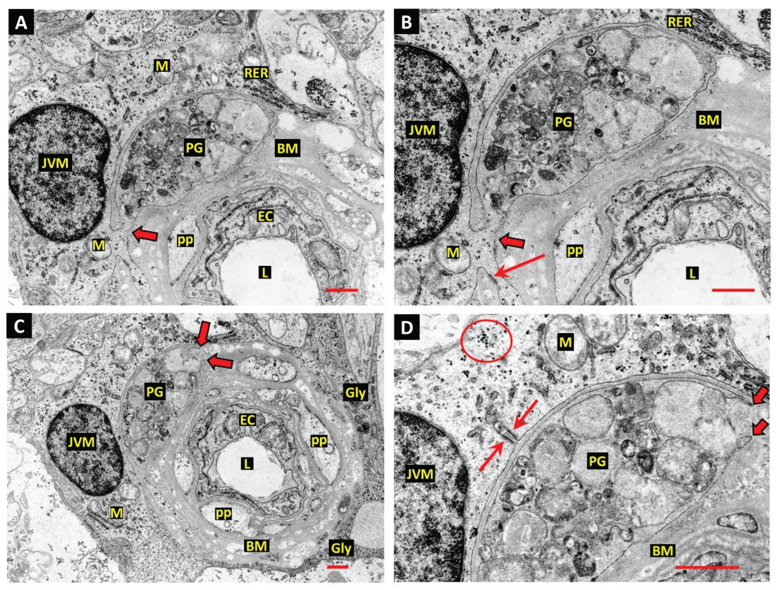 Preprints 170402 g004