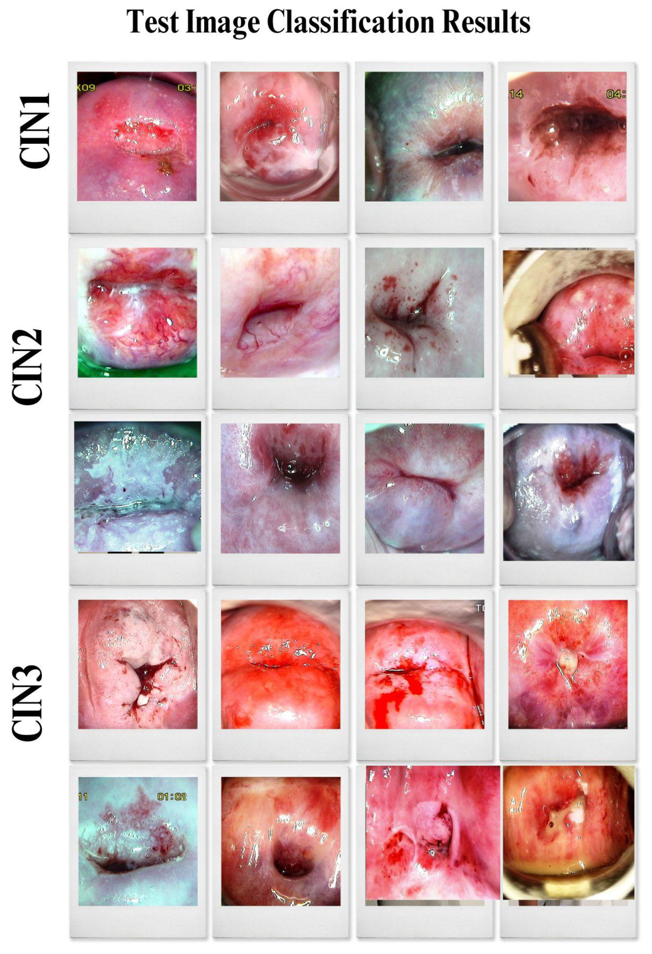 Preprints 137828 g019