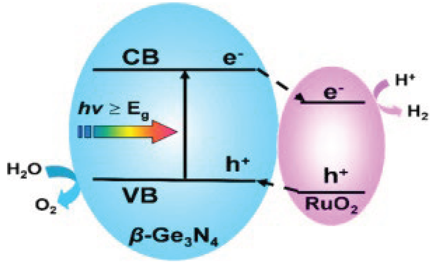 Preprints 186578 g006