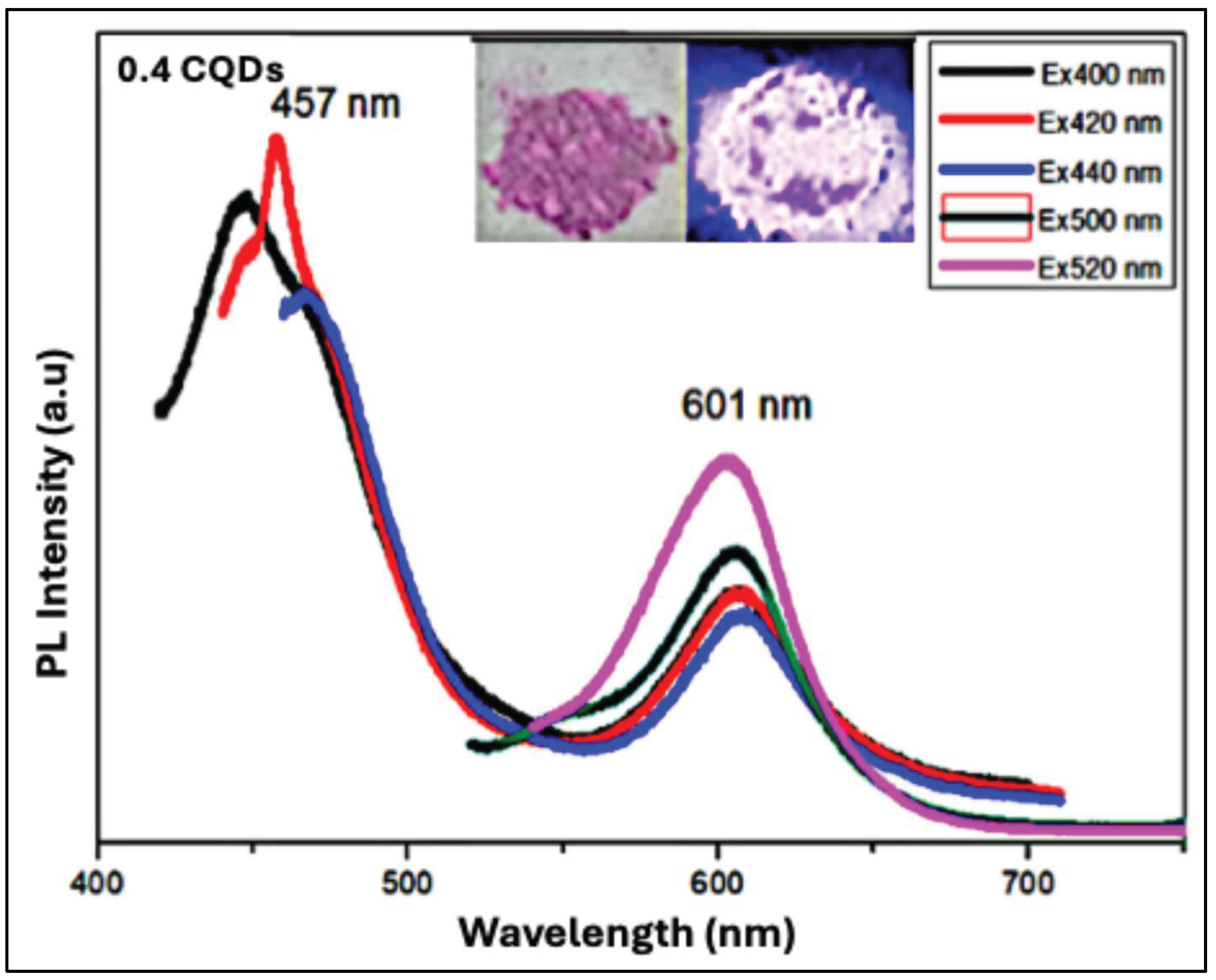 Preprints 201686 g010