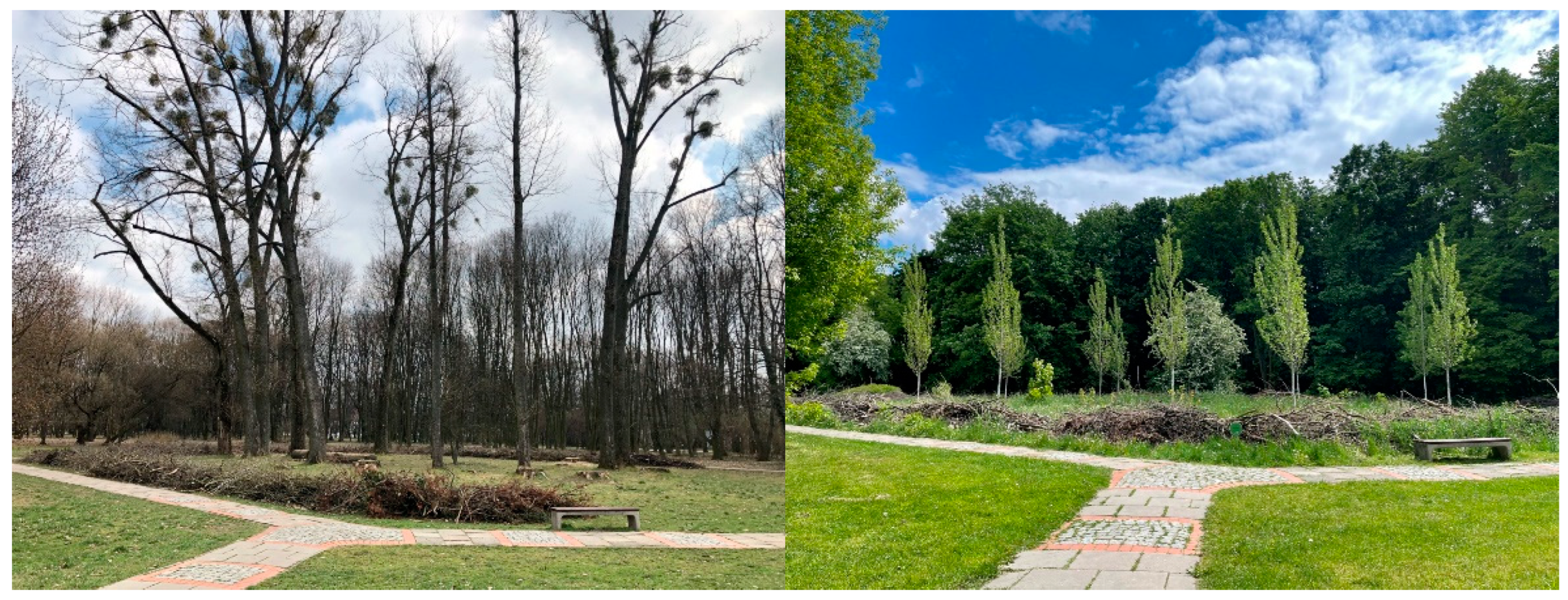 Preprints 99974 g001